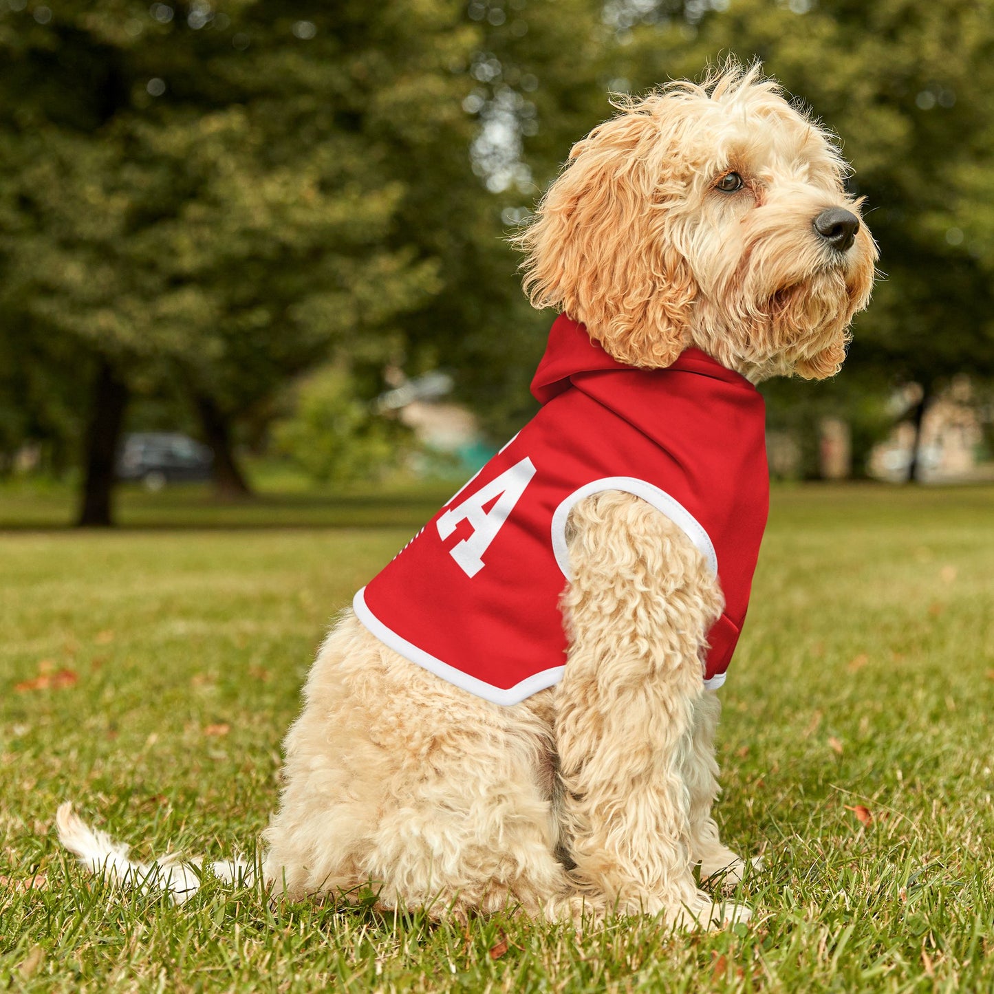 Princess Grace  TEAM USA  Pet Hoodie