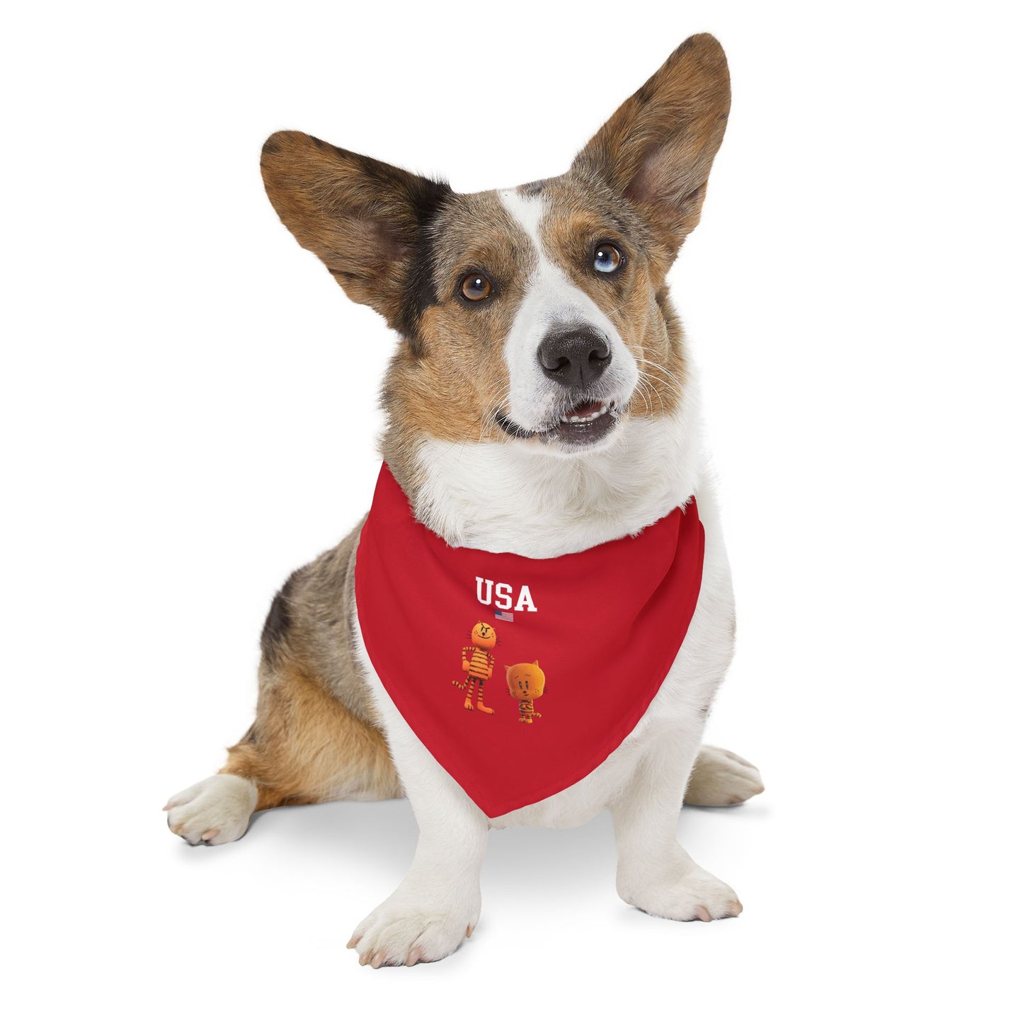 Princess Grace  TEAM USA Pet Bandana Collar