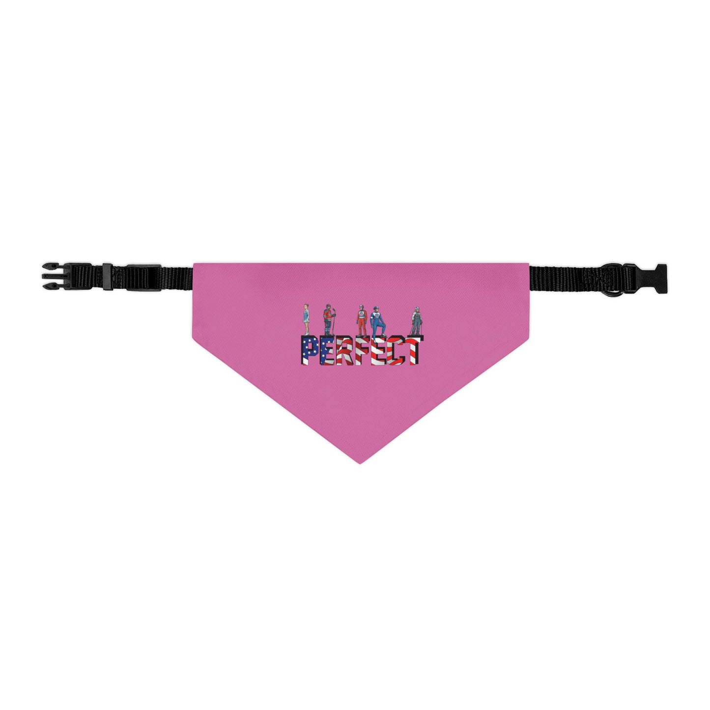 Princess Grace  TEAM USA  Pet Bandana Collar