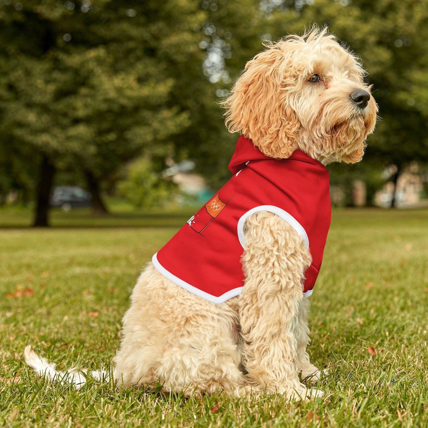Princess Grace  TEAM USA  Pet Hoodie