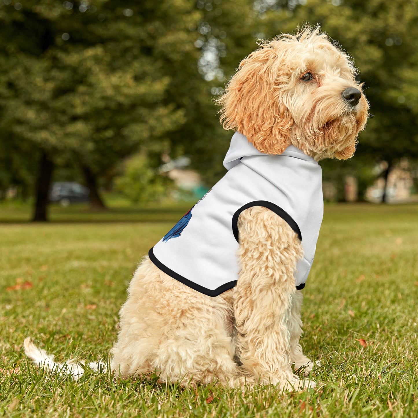 Princess Grace  TEAM USA  Pet Hoodie