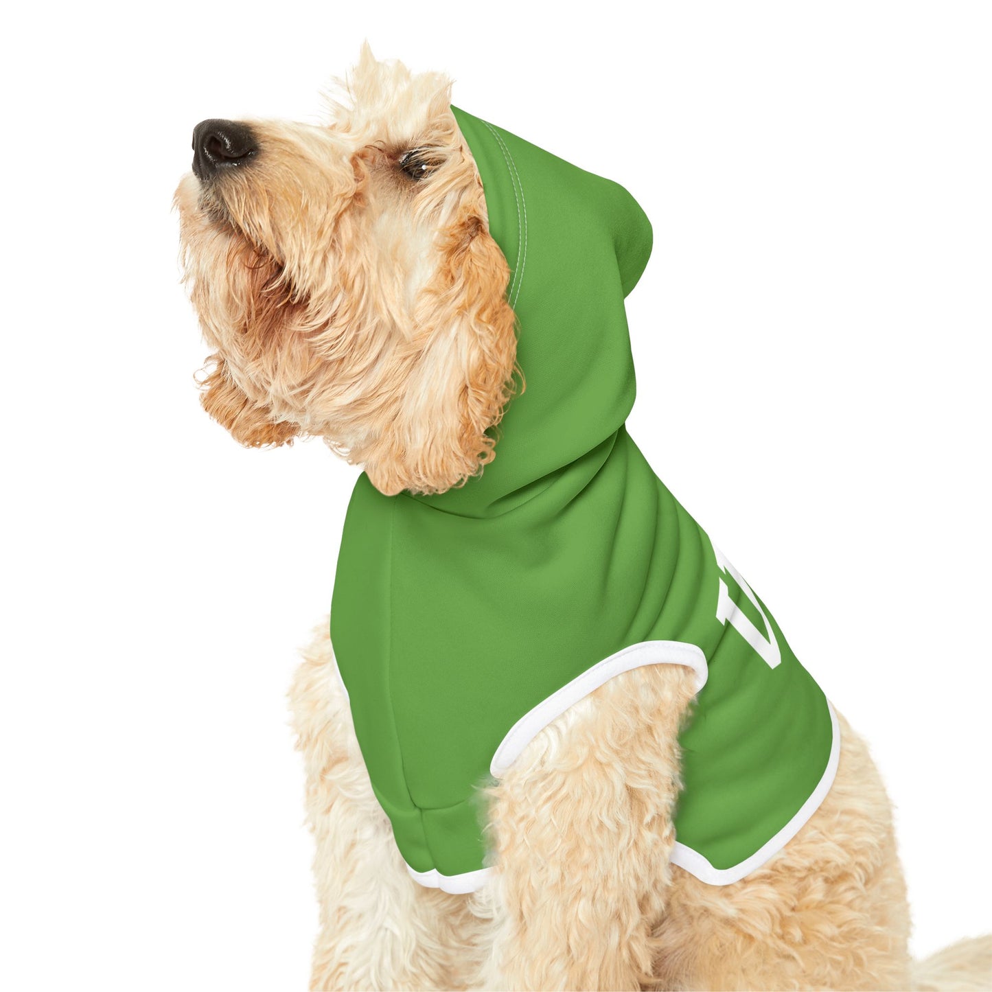 Princess Grace  TEAM USA  Pet Hoodie