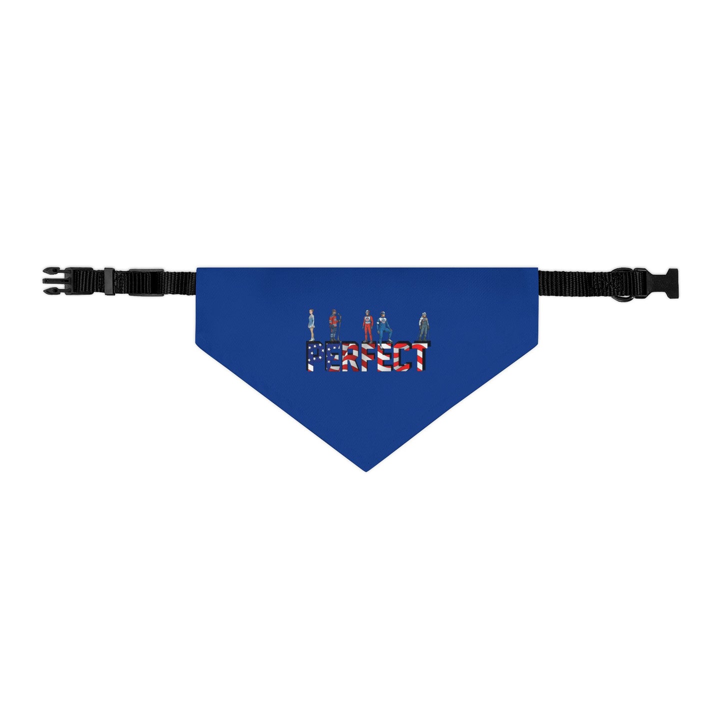 Princess Grace  TEAM USA  Pet Bandana Collar