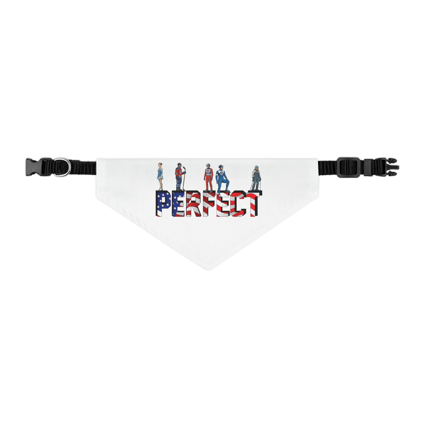 Princess Grace  TEAM USA  Pet Bandana Collar