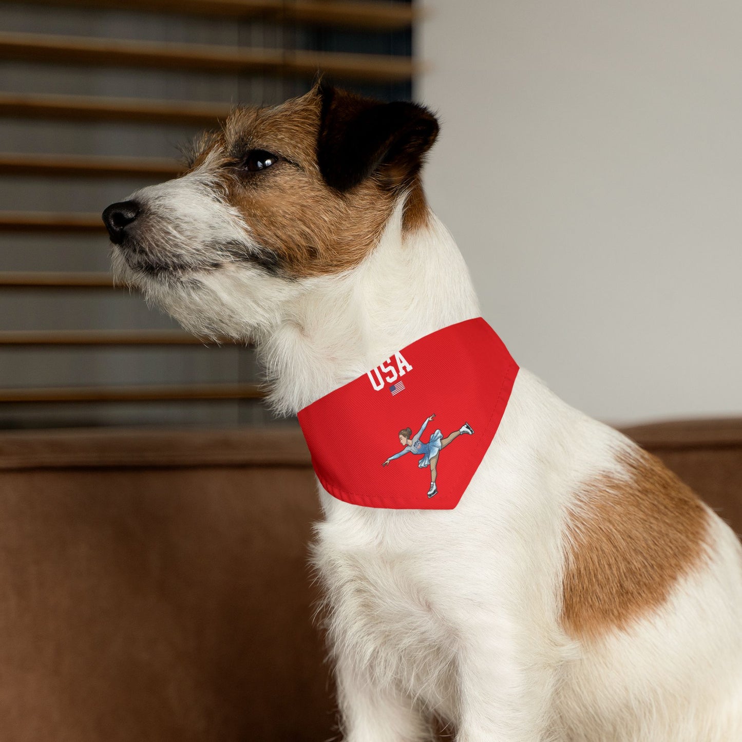 Princess Grace  TEAM USA  Pet Bandana Collar