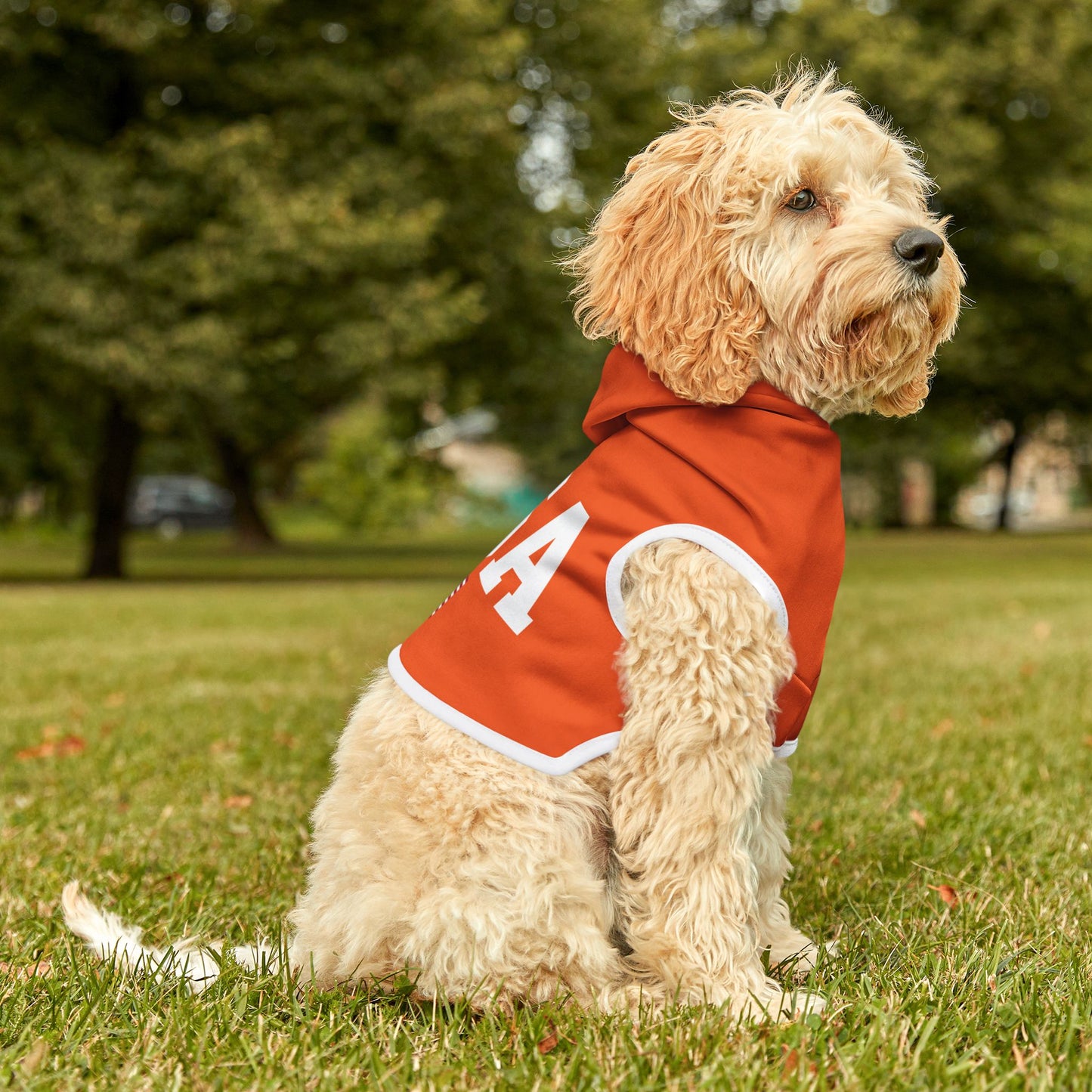 Princess Grace  TEAM USA  Pet Hoodie