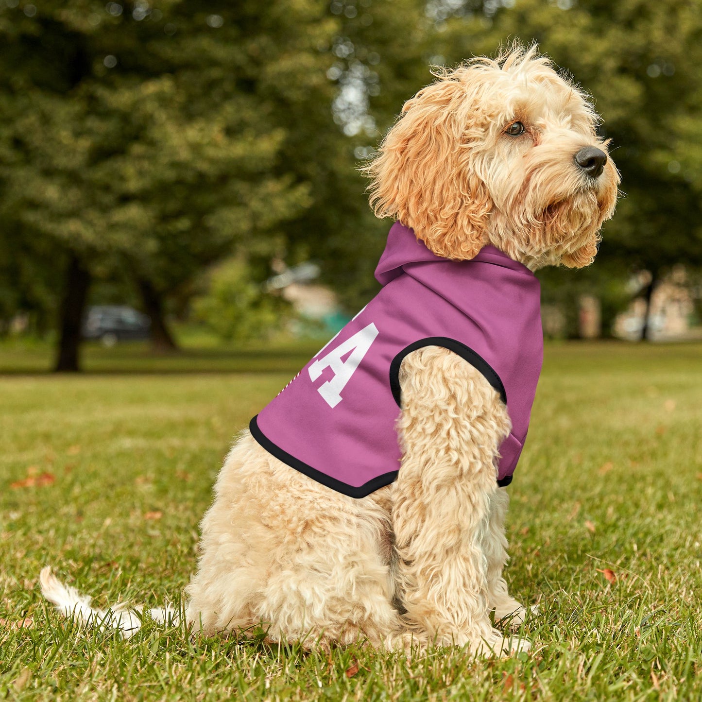 Princess Grace  TEAM USA  Pet Hoodie