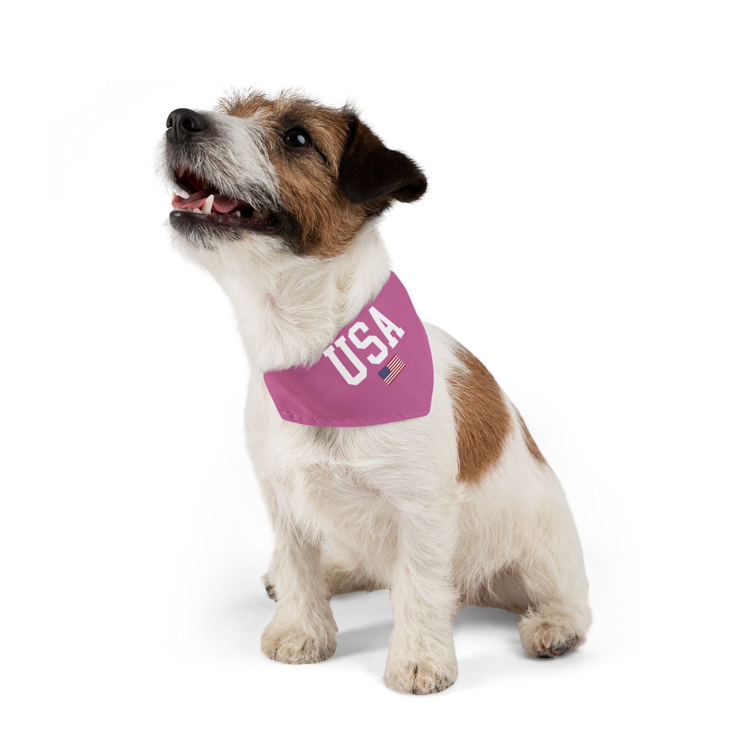 Princess Grace  TEAM USA  Pet Bandana Collar