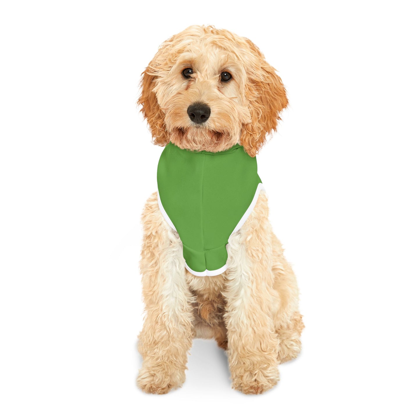 Princess Grace  TEAM USA  Pet Hoodie