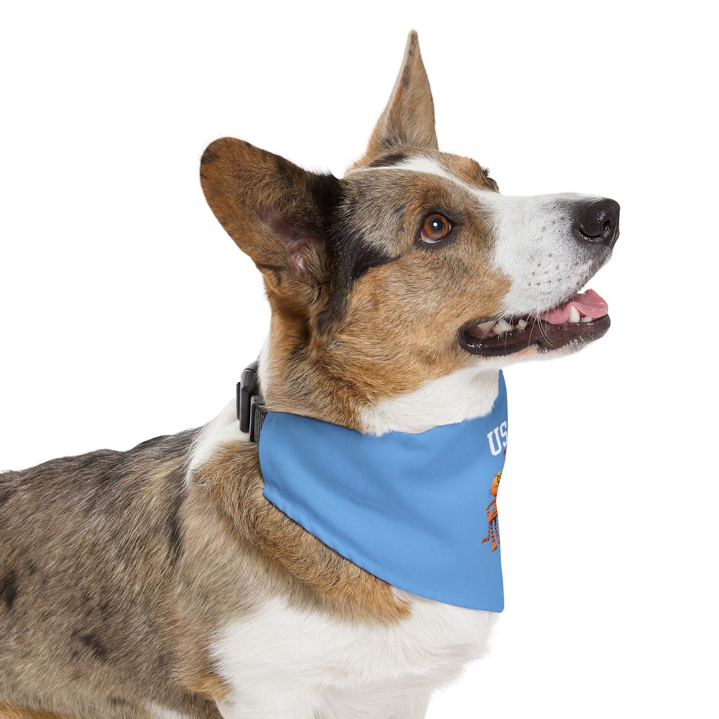 Princess Grace  TEAM USA  Pet Bandana Collar