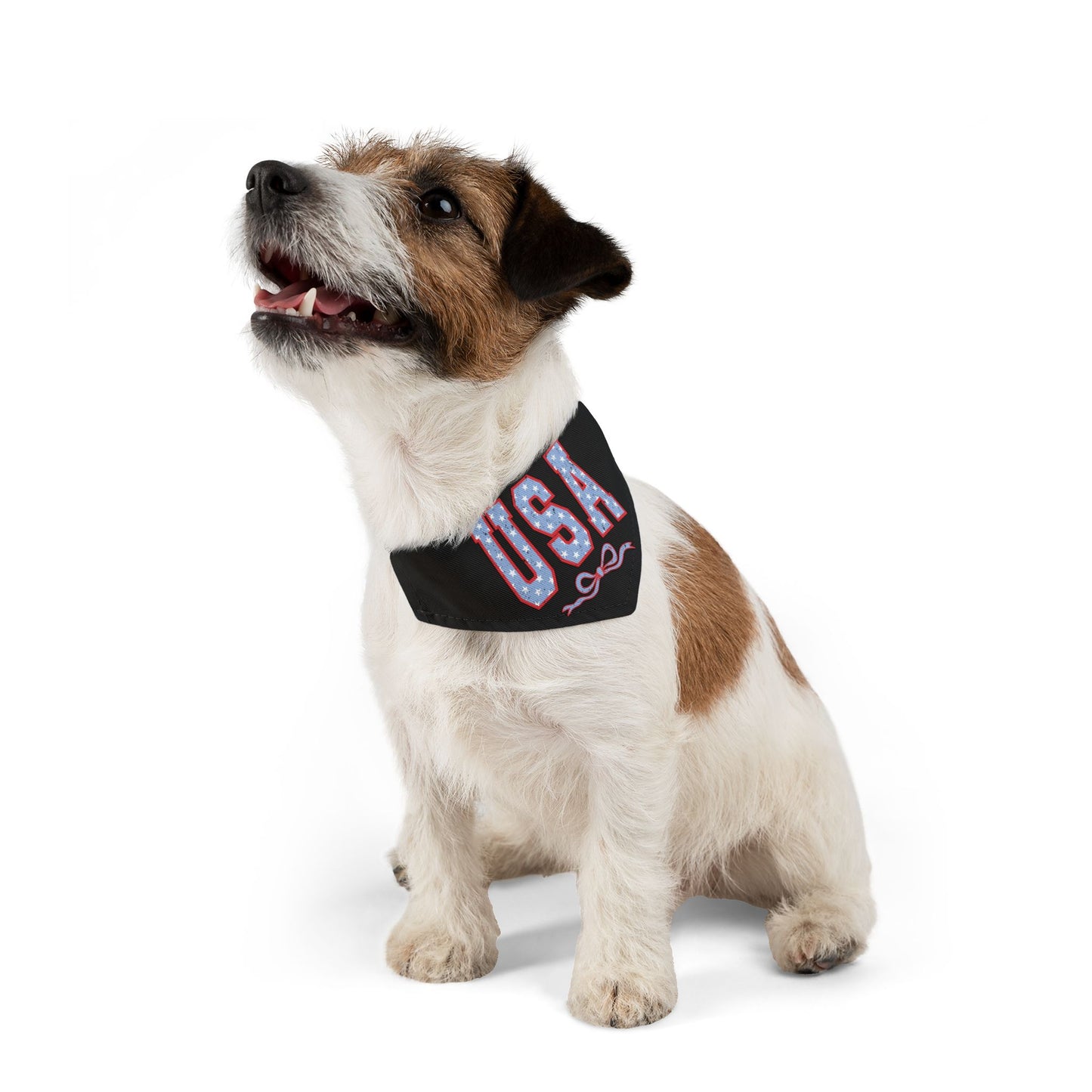 Princess Grace  USA Pet Bandana Collar Patriotic Dog Accessory for Independence Day