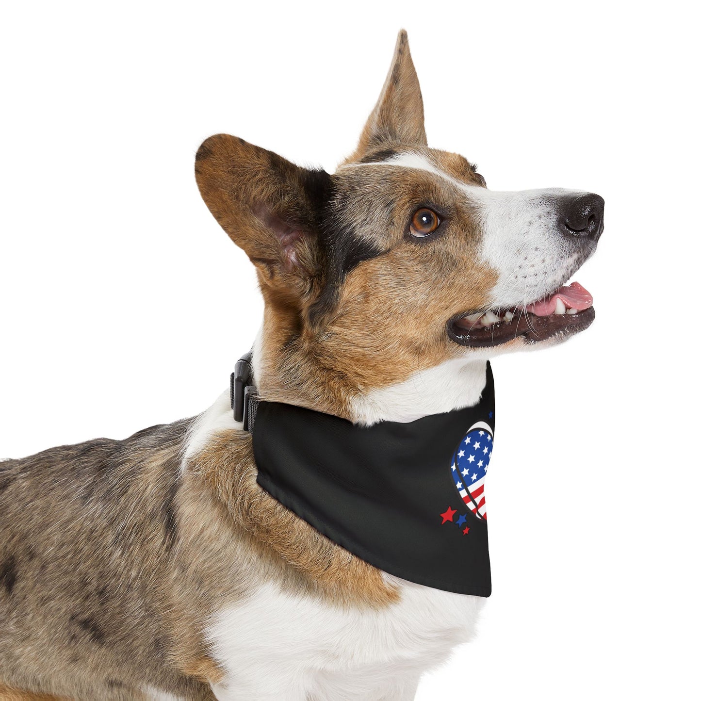 Princess Grace  Patriotic Pet Bandana Collar Red, White & Blue Heart Design