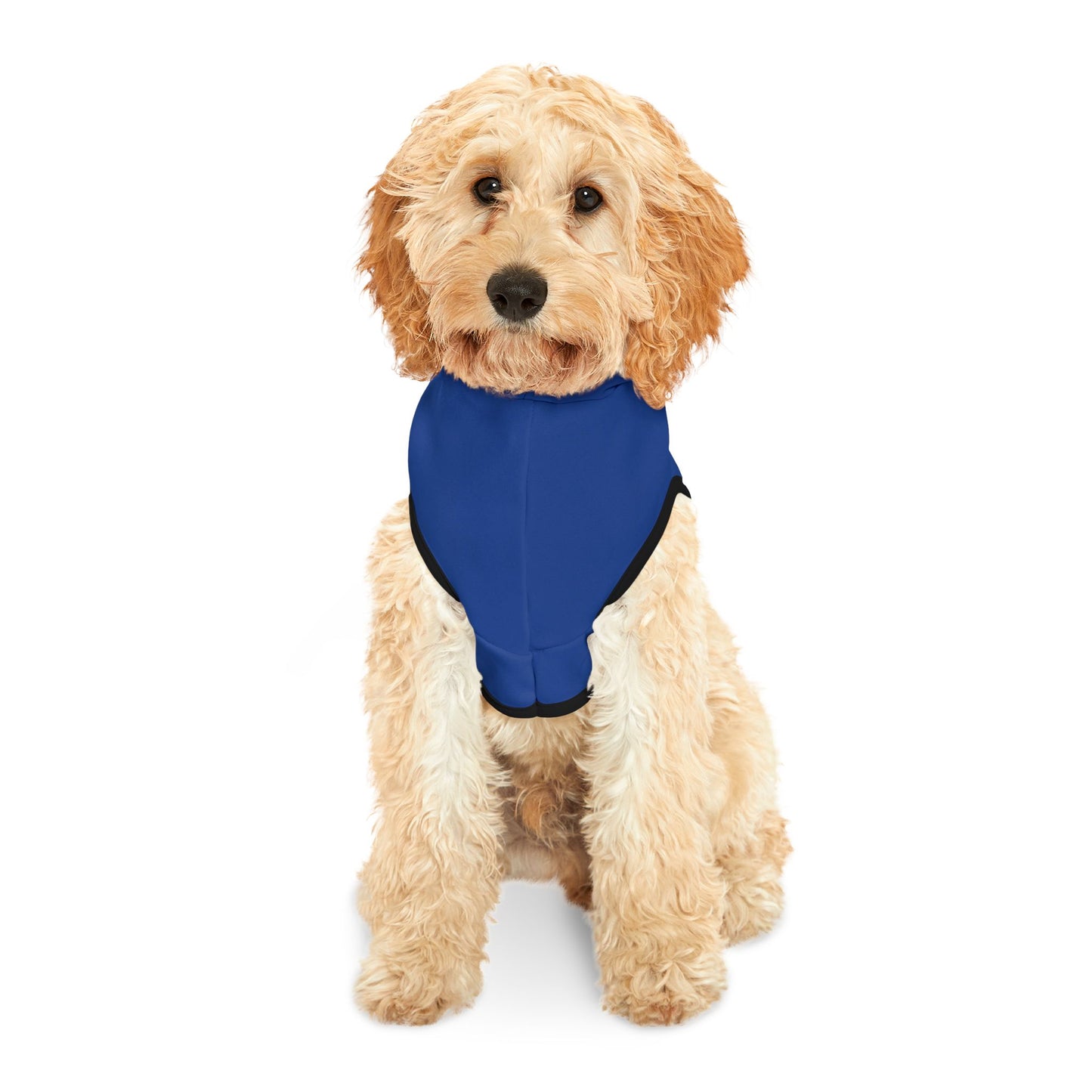 Princess Grace  Patriotic Eagle Pet Hoodie for Dogs USA Theme