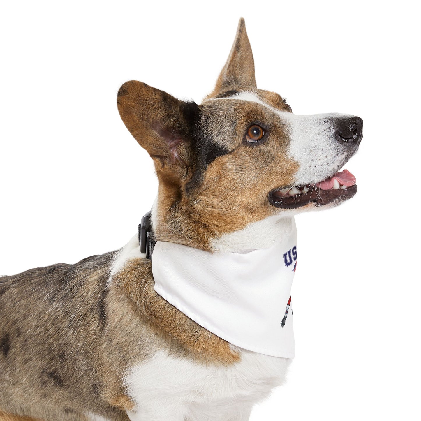 Princess Grace  TEAM USA  Pet Bandana Collar
