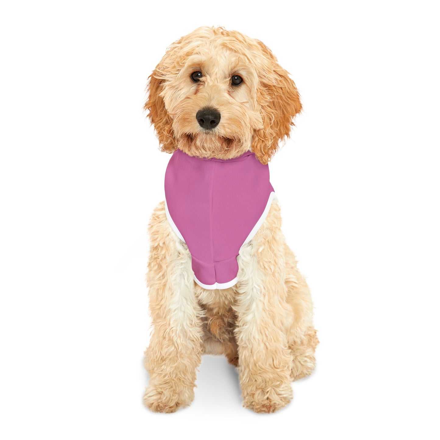 Princess Grace  Patriotic Eagle Pet Hoodie  Perfect for Celebrations