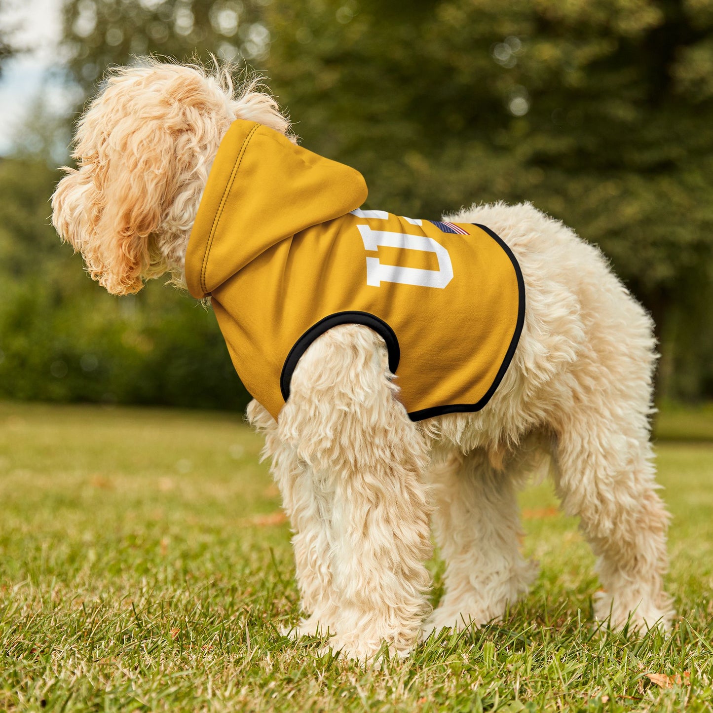 Princess Grace  TEAM USA  Pet Hoodie