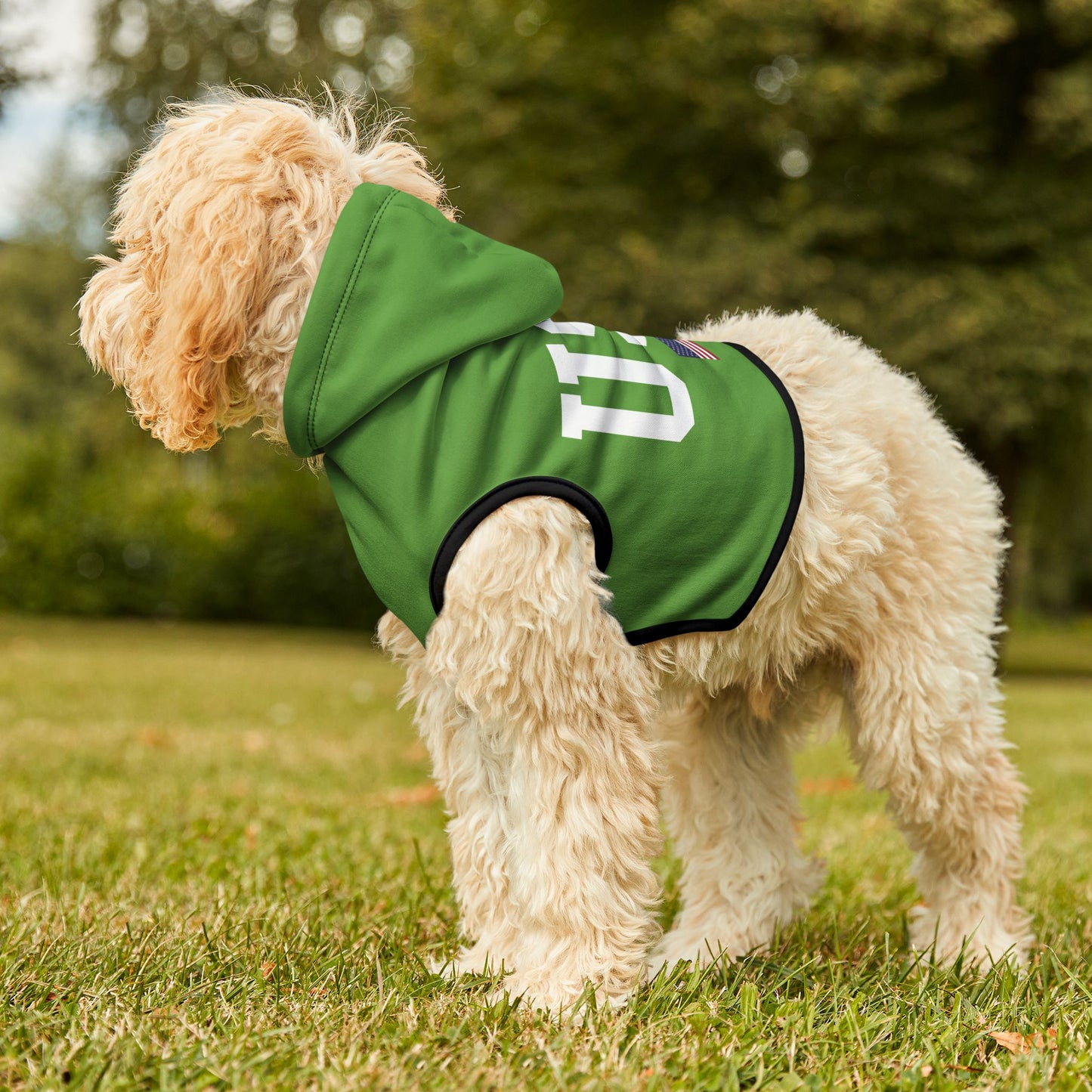 Princess Grace  TEAM USA  Pet Hoodie
