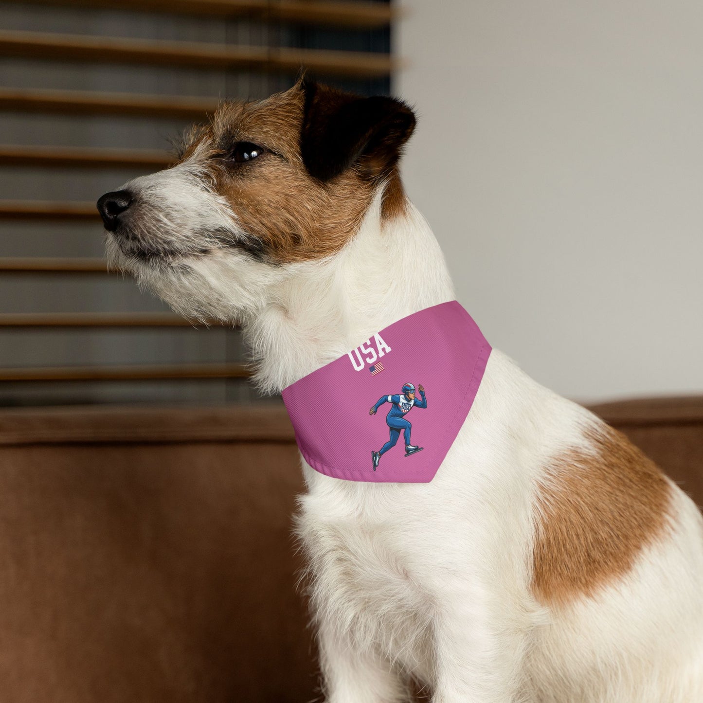 Princess Grace  TEAM USA  Pet Bandana Collar