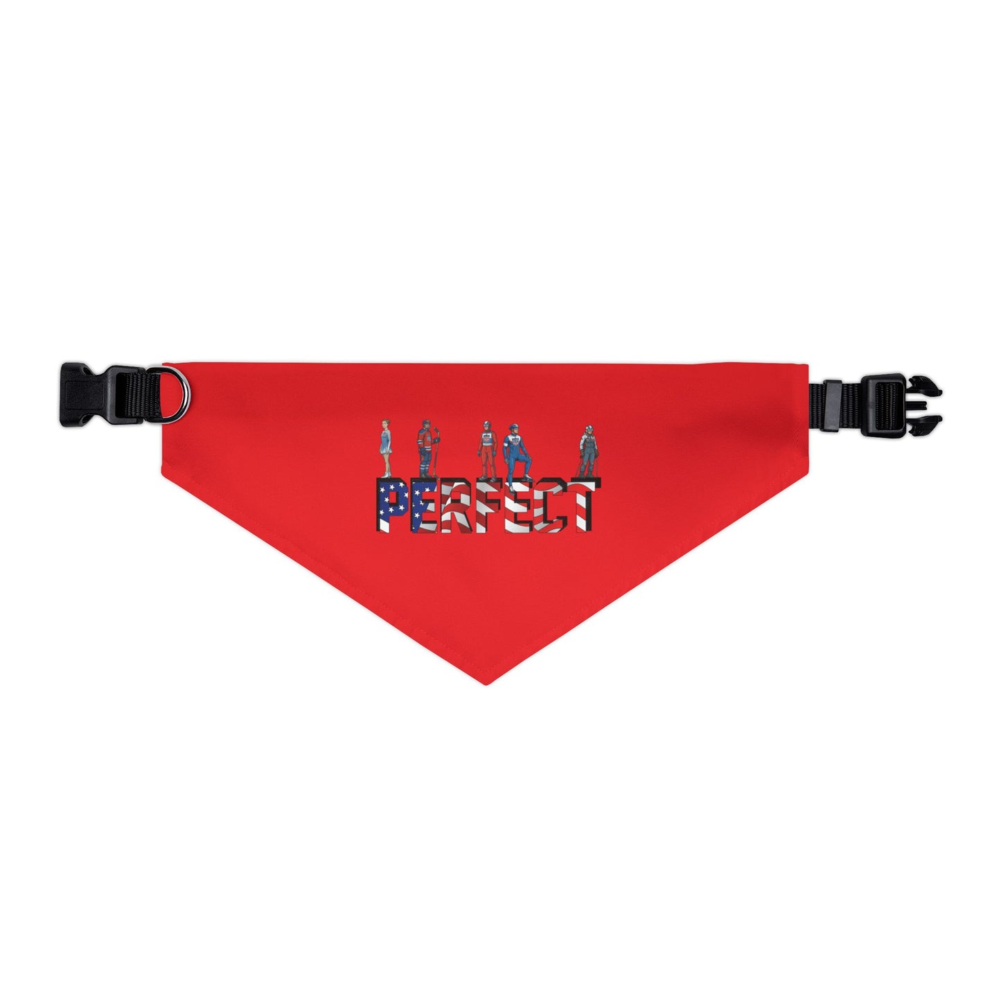Princess Grace  TEAM USA  Pet Bandana Collar