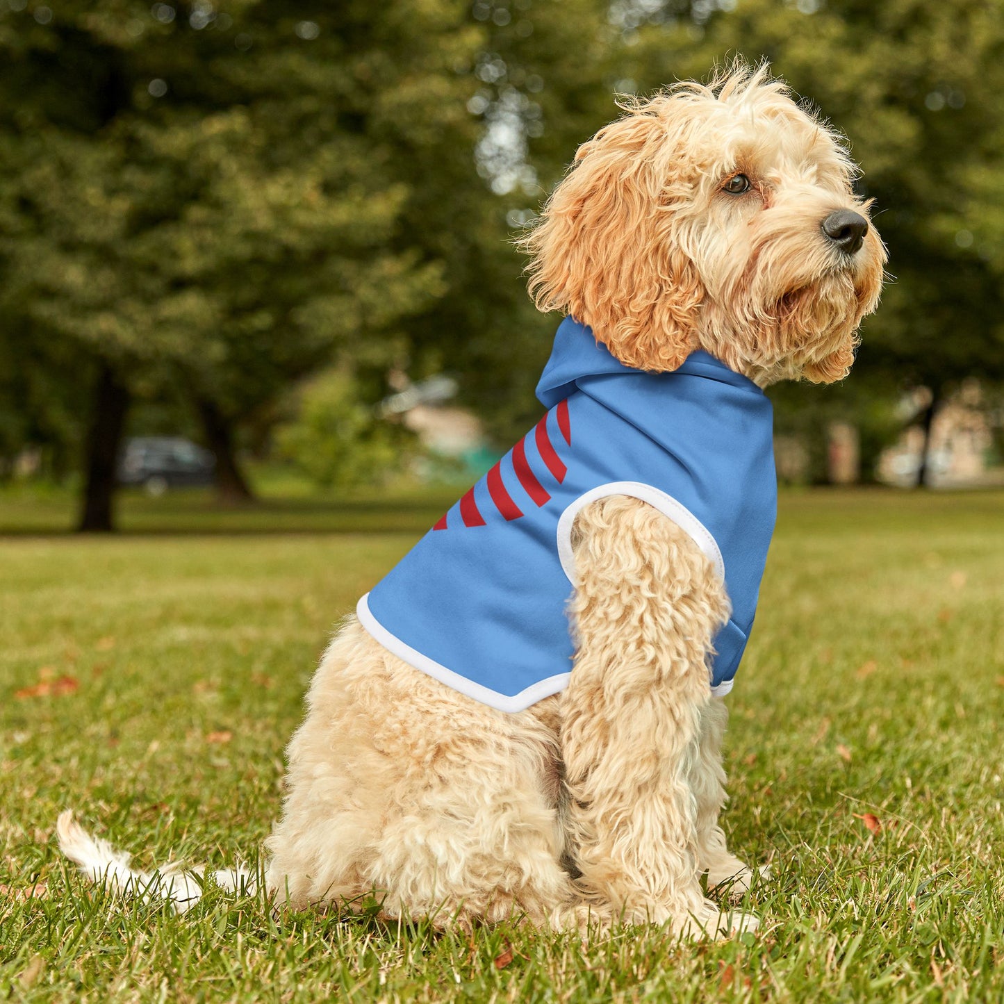 Princess Grace  Patriotic Pet Hoodie with Heart Design Perfect for Holidays & Celebrations