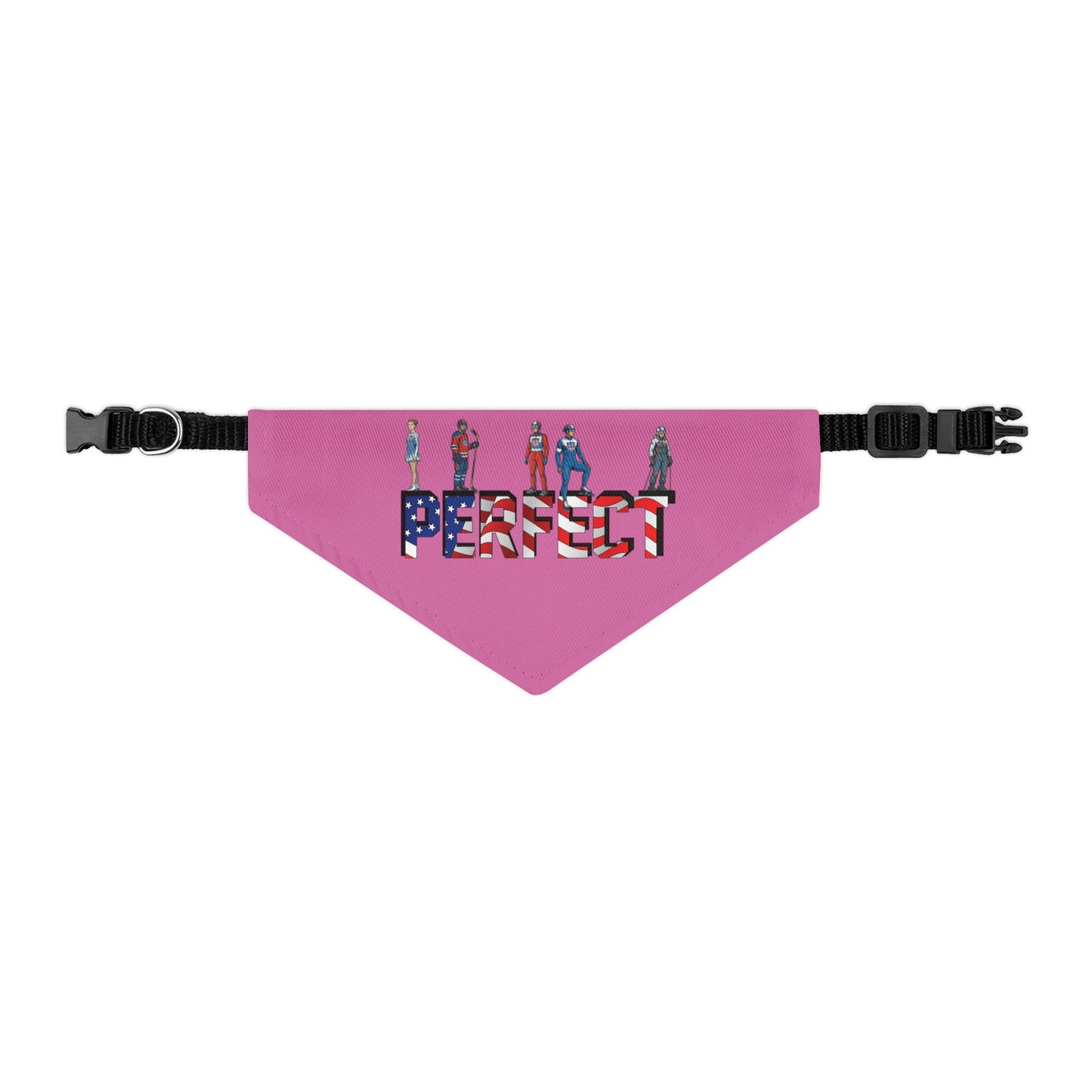 Princess Grace  TEAM USA  Pet Bandana Collar