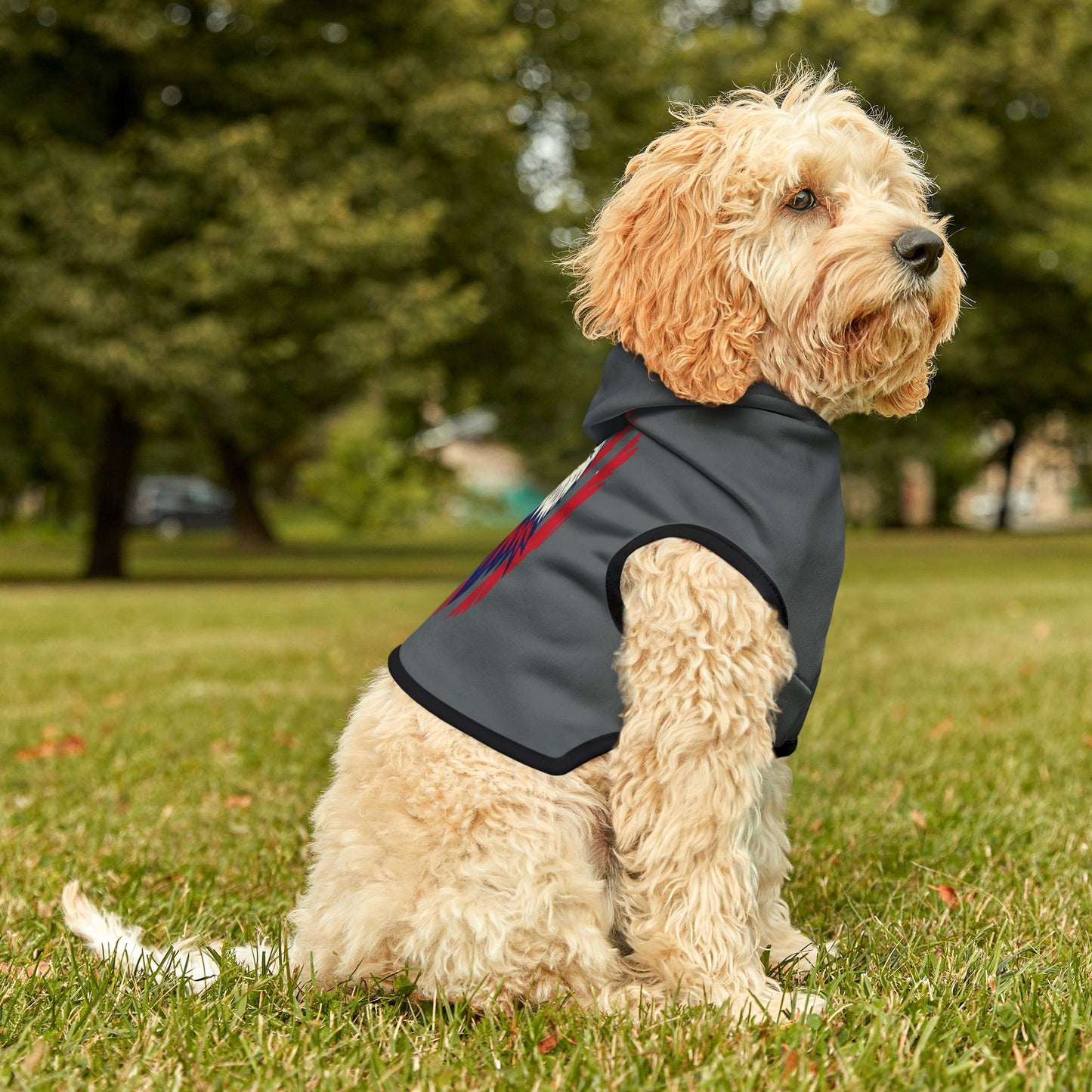 Princess Grace  Patriotic Eagle Pet Hoodie  Perfect for Holidays and Outdoor Adventures