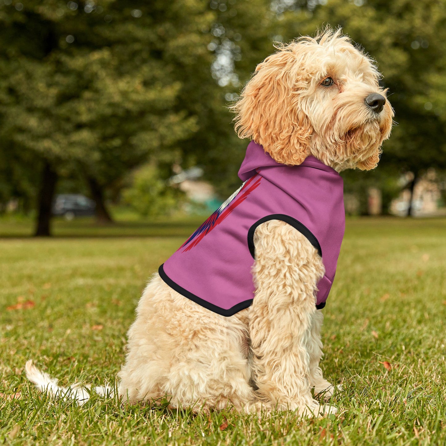 Princess Grave  Patriotic Pet Hoodie with Eagle Design Perfect for Celebrations