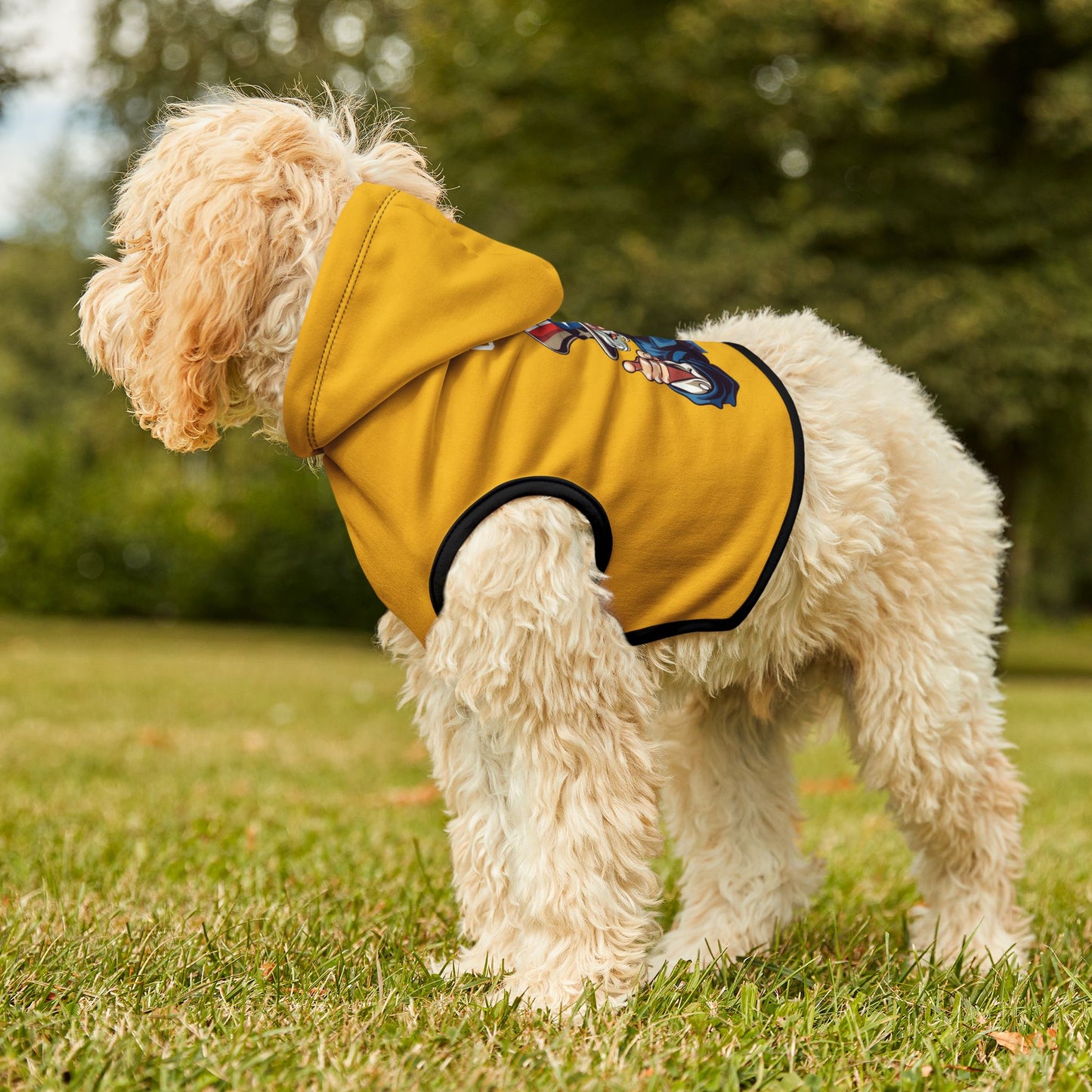 Princess Grace  TEAM USA  Pet Hoodie