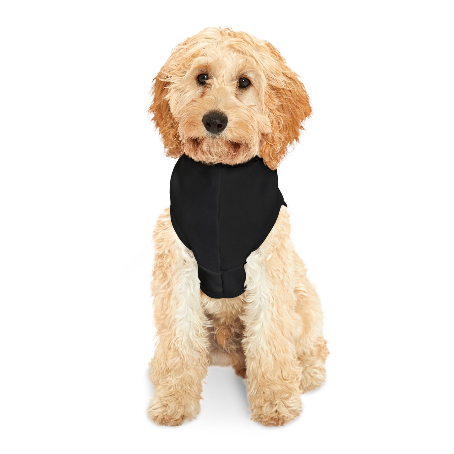Princess Grace  Patriotic Eagle Pet Hoodie Stylish Black Dog Sweater for Independence Day & Year Round Wear
