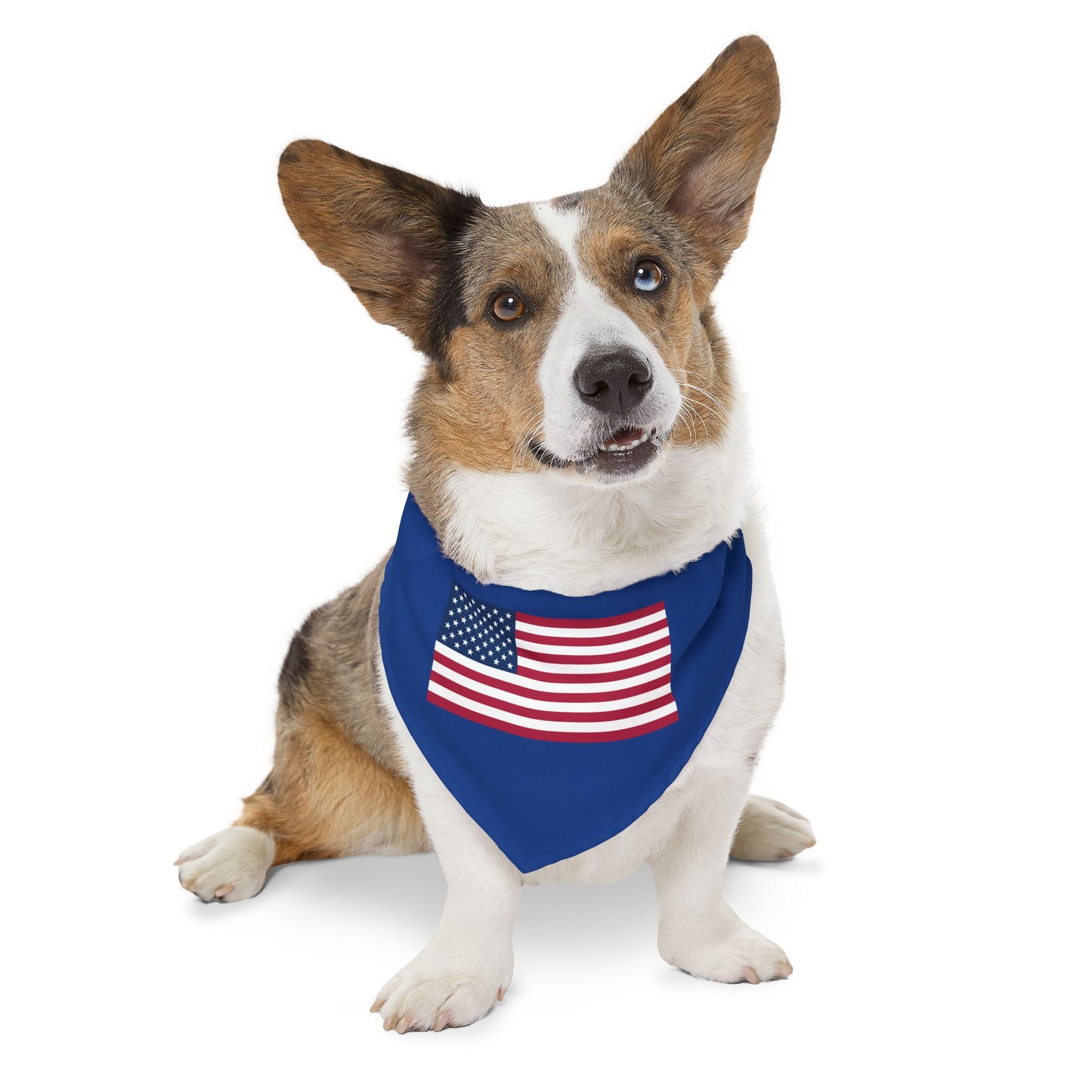 Princess Grace  Patriotic Pet Bandana Collar  American Flag Design for Dogs