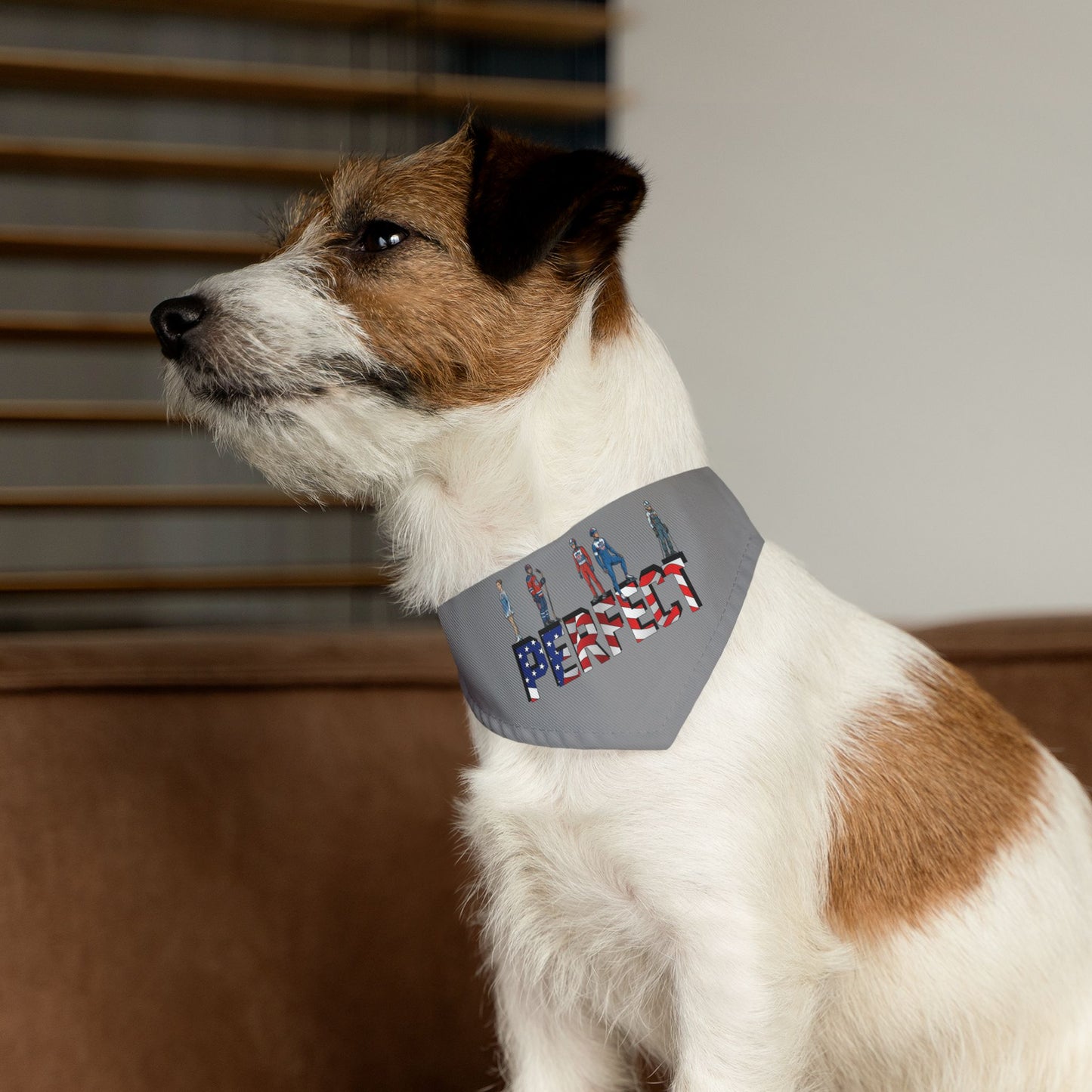Princess Grace  TEAM USA  Pet Bandana Collar