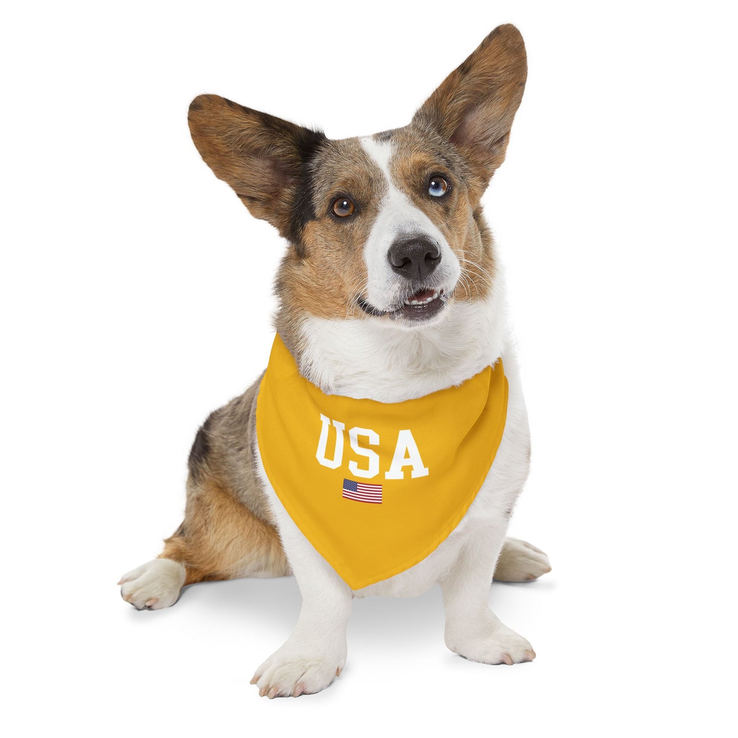 Princess Grace  TEAM USA  Pet Bandana Collar