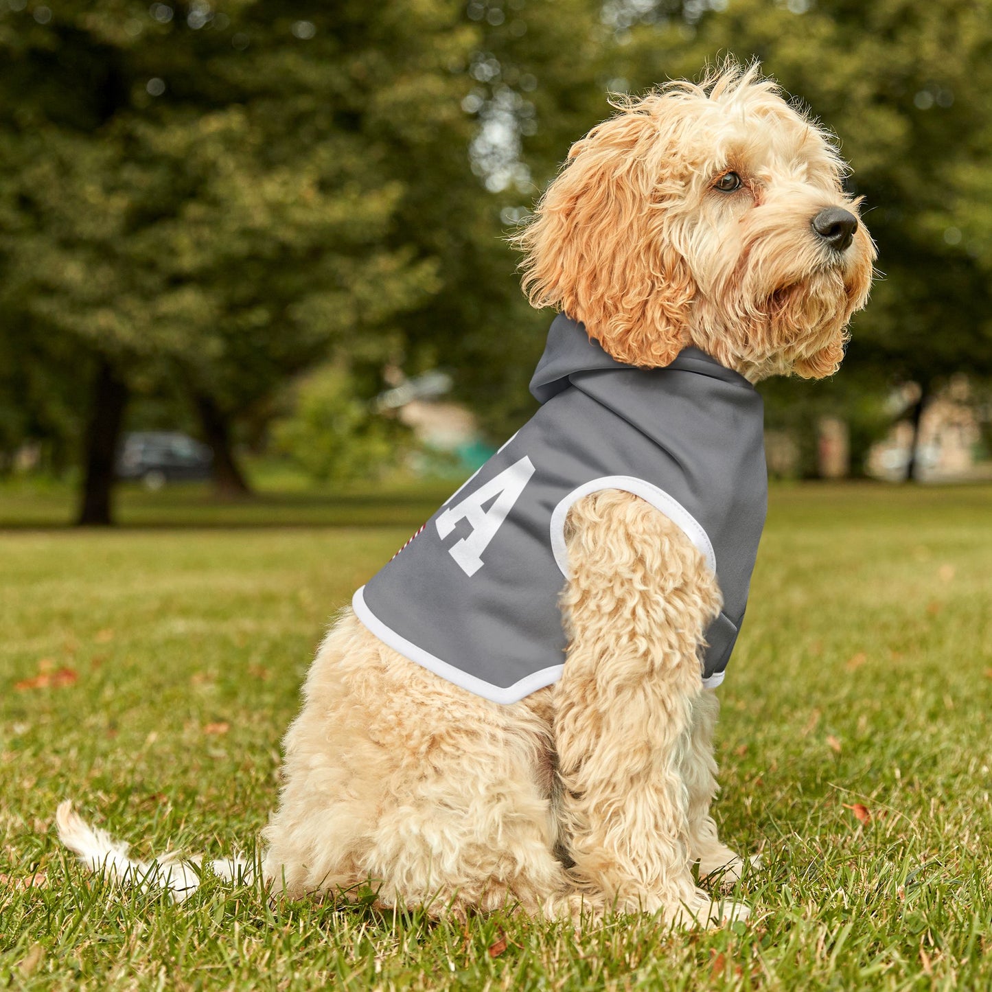 Princess Grace  TEAM USA  Pet Hoodie