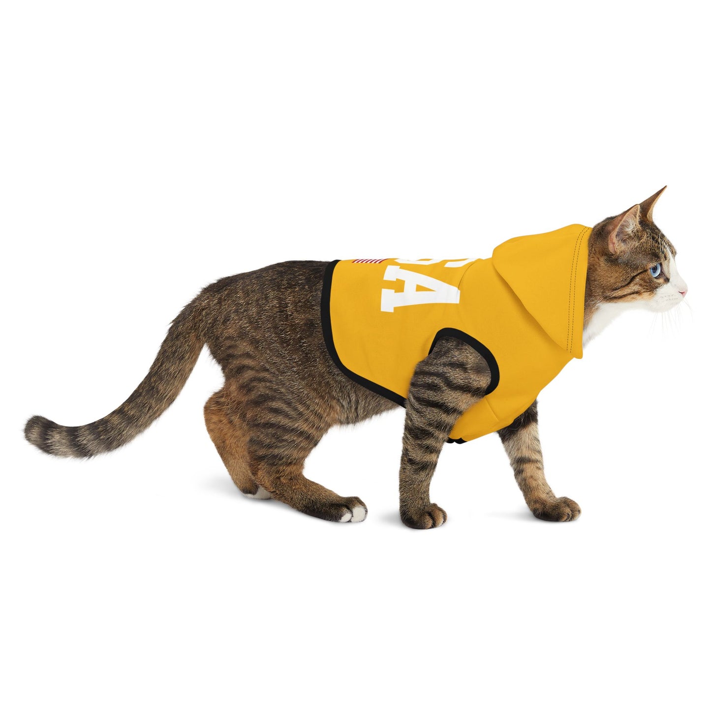 Princess Grace  TEAM USA  Pet Hoodie