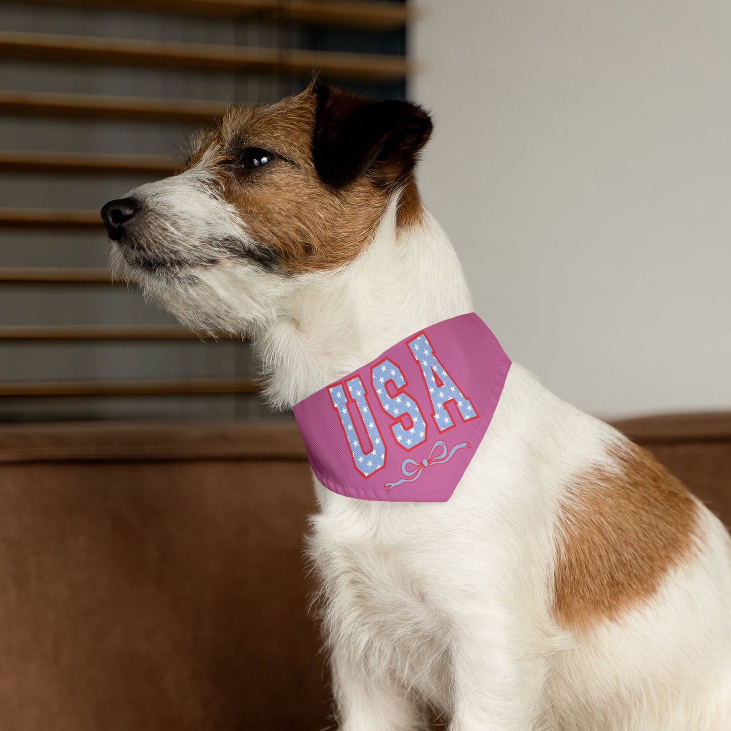 Princess Grace  USA Pet Bandana Collar for Dogs Patriotic Dog Accessories