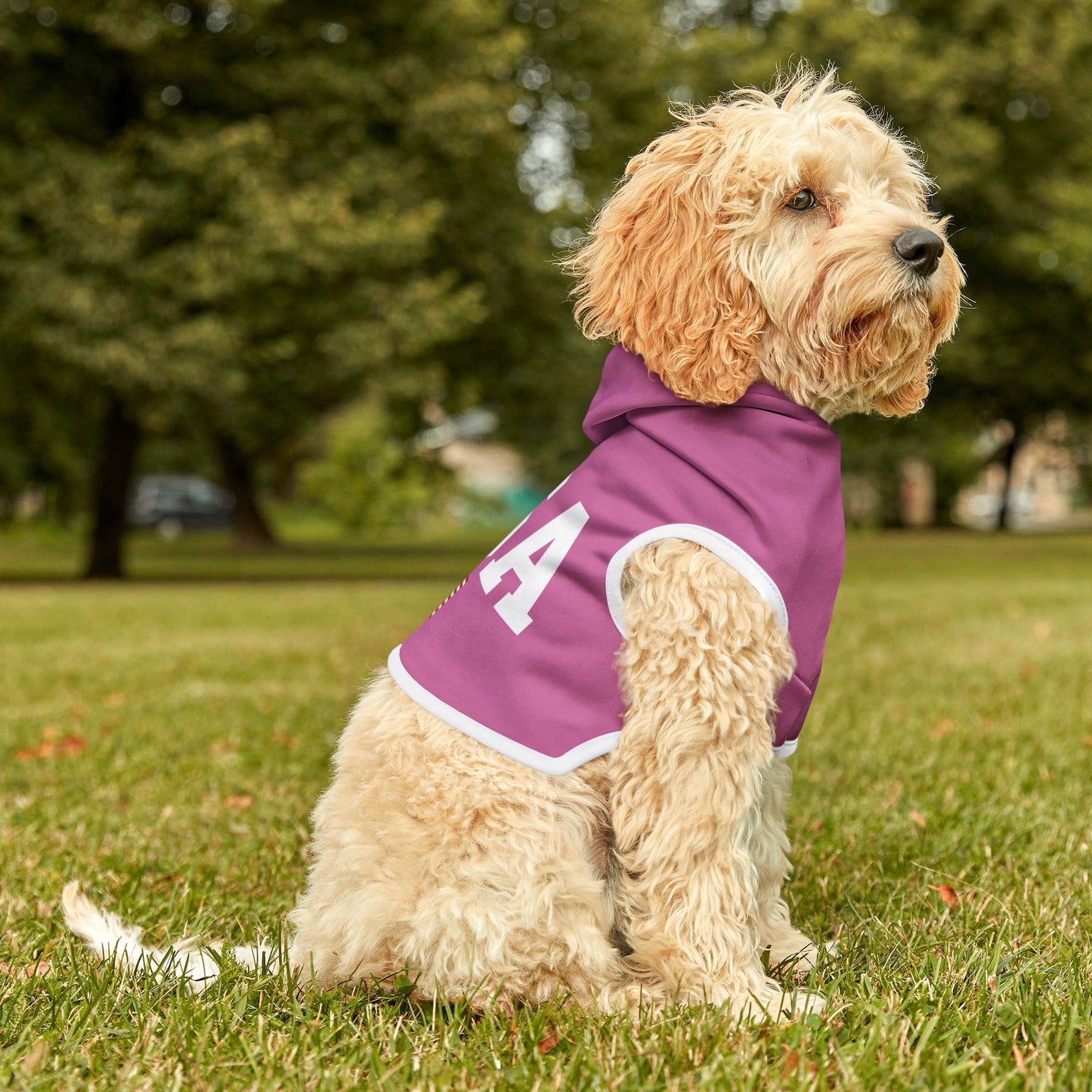 Princess Grace  TEAM USA  Pet Hoodie