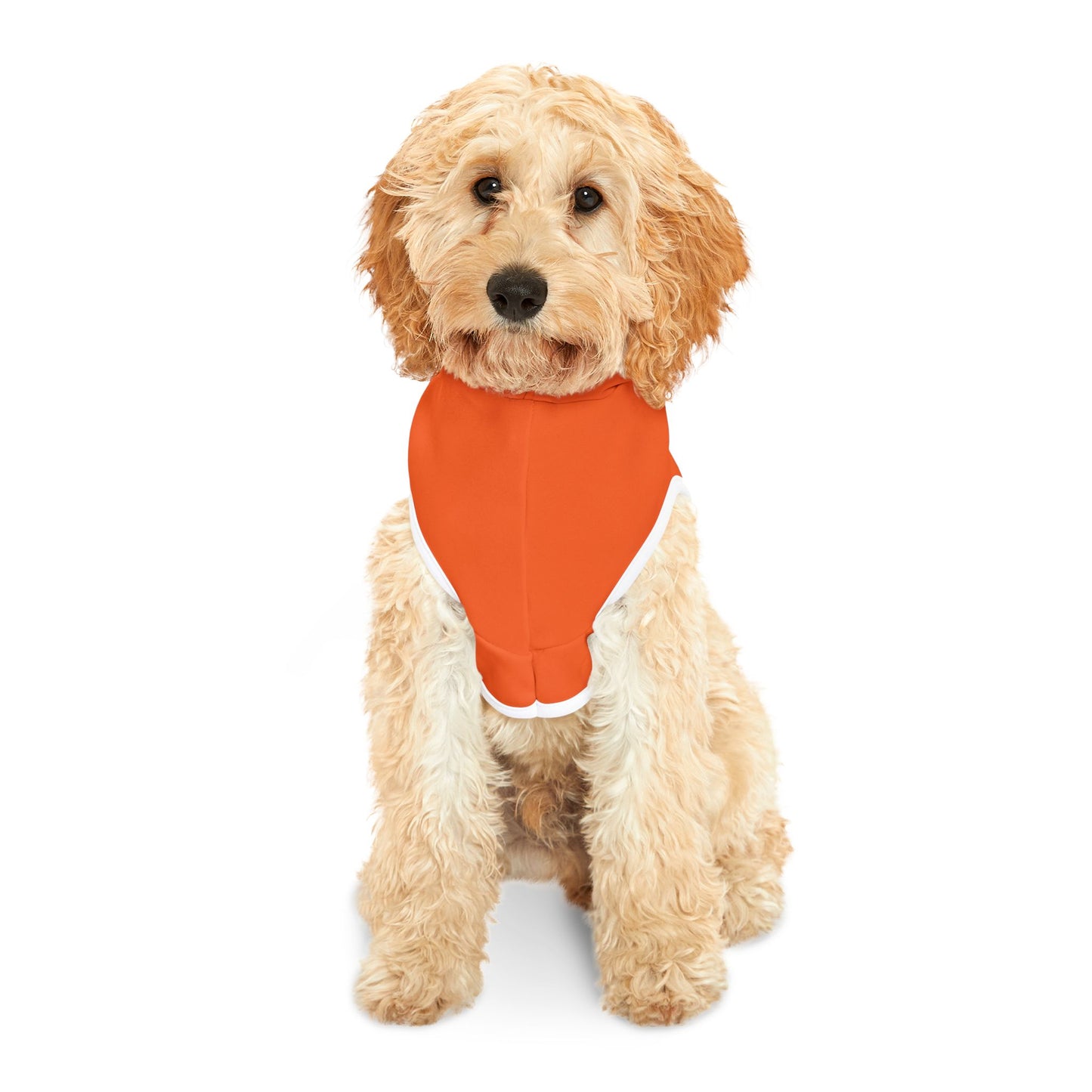 Princess Grace  TEAM USA  Pet Hoodie