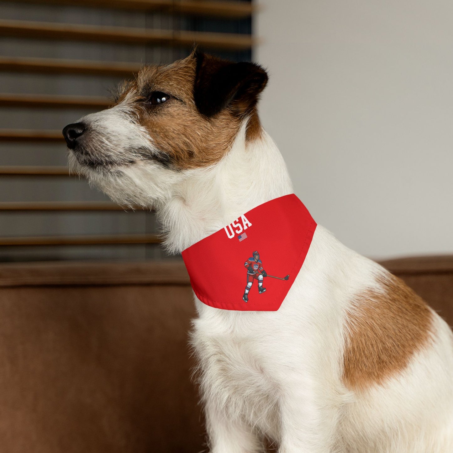Princess Grace  TEAM USA  Pet Bandana Collar
