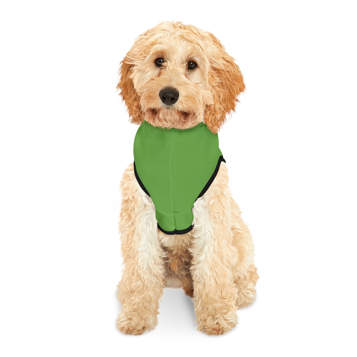 Princess Grace  TEAM USA  Pet Hoodie