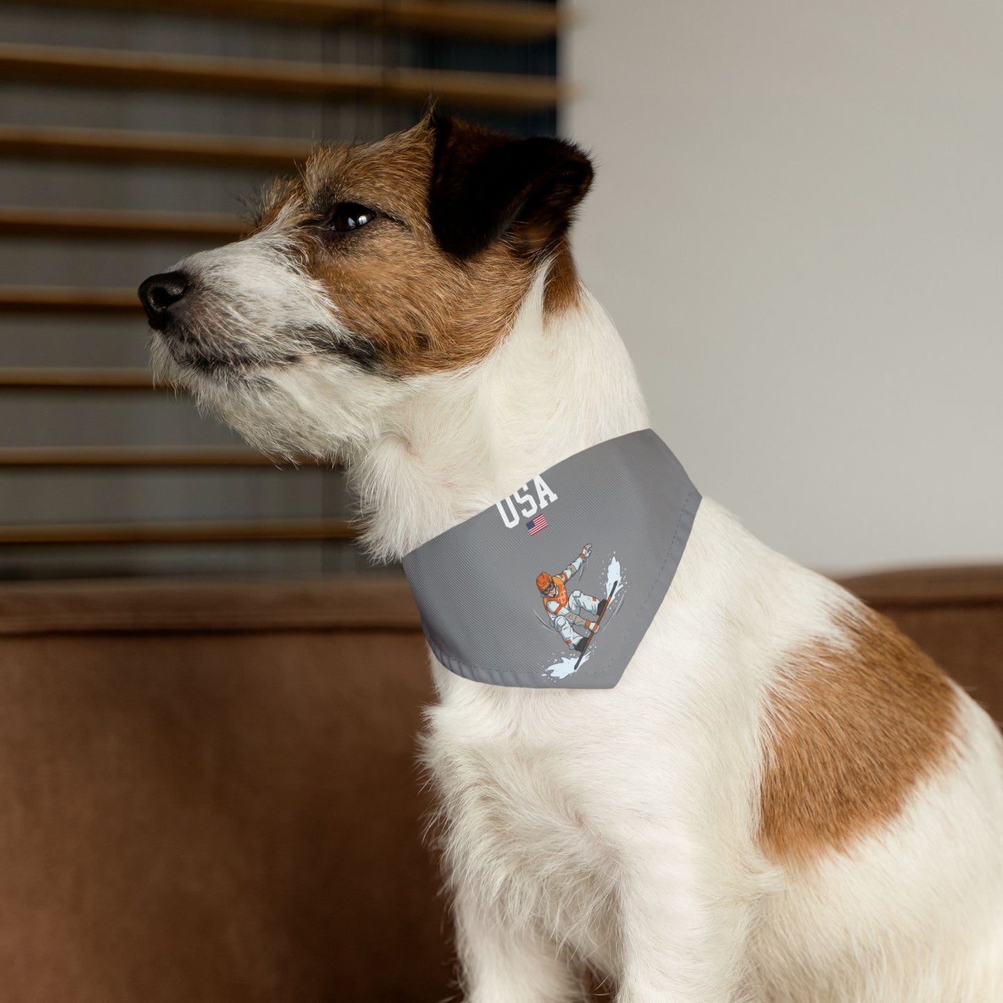 Princess Grace  TEAM USA  Pet Bandana Collar