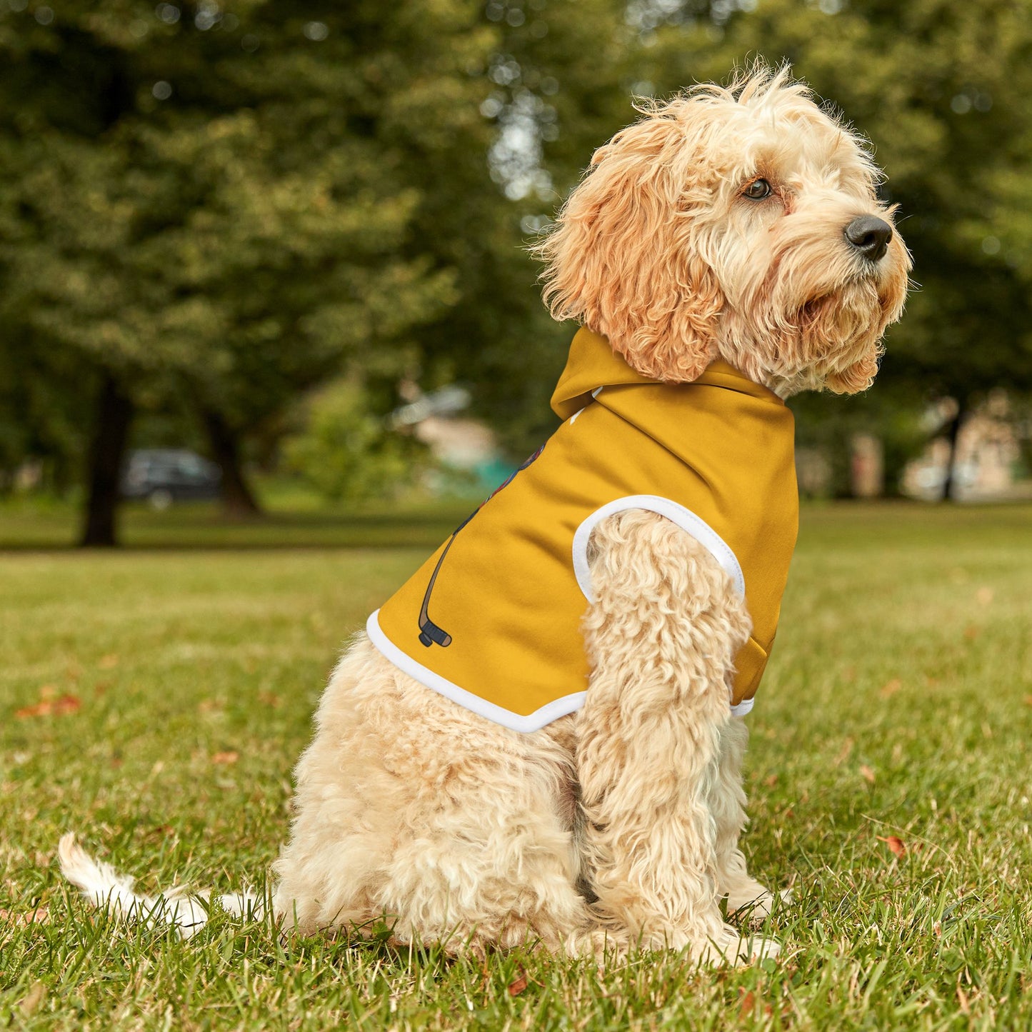 Princess Grace  TEAM USA  Pet Hoodie
