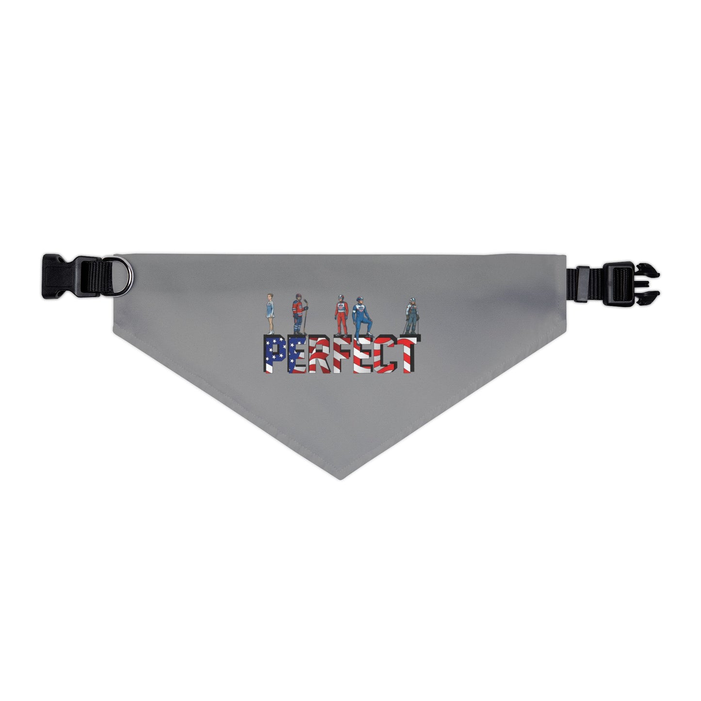 Princess Grace  TEAM USA  Pet Bandana Collar