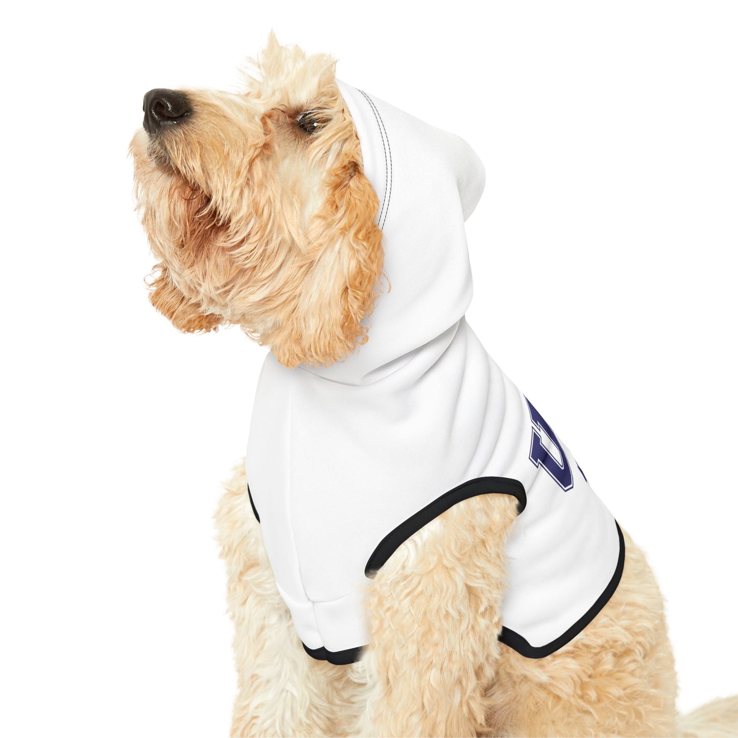 Princess Grace  TEAM USA  Pet Hoodie