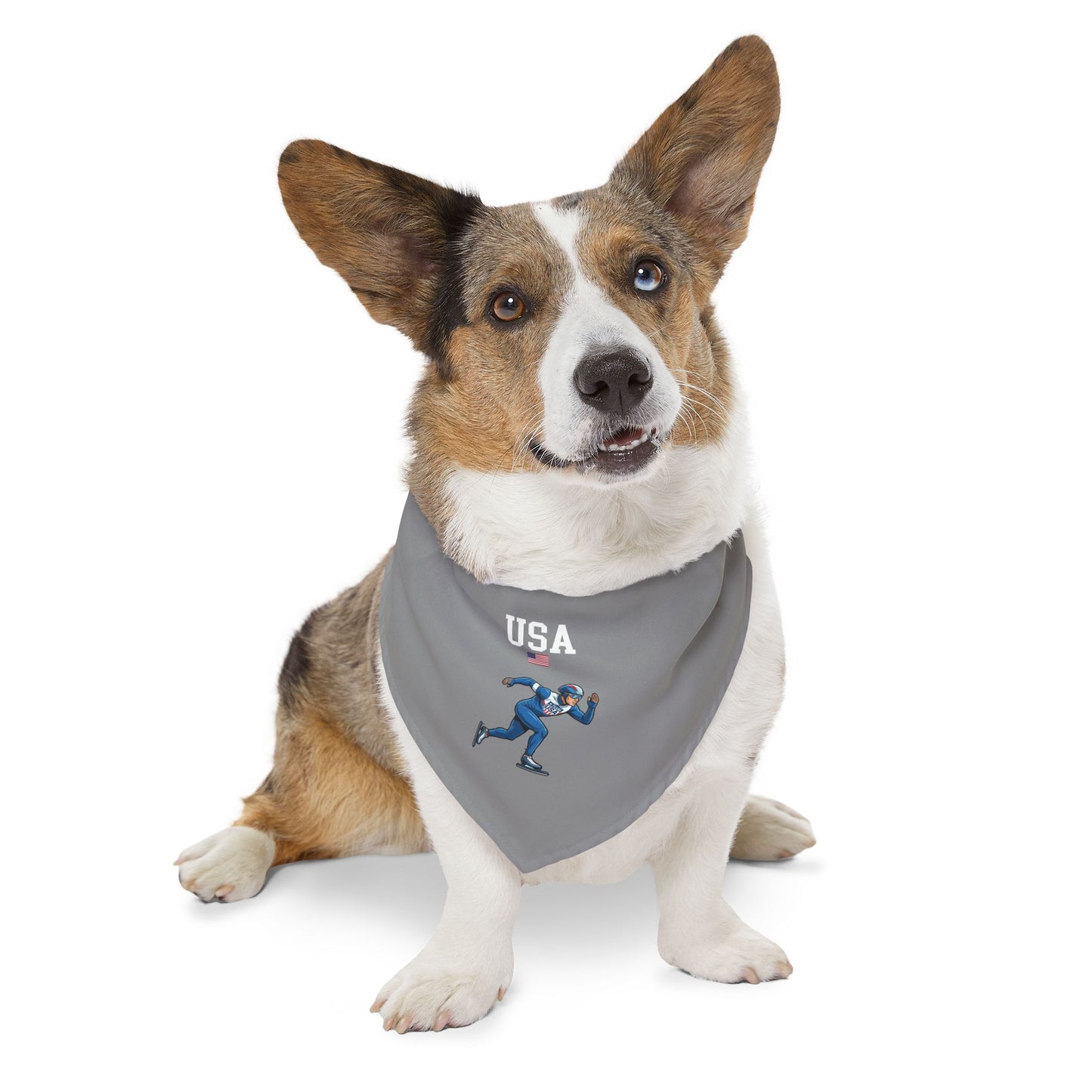 Princess Grace  TEAM USA  Pet Bandana Collar