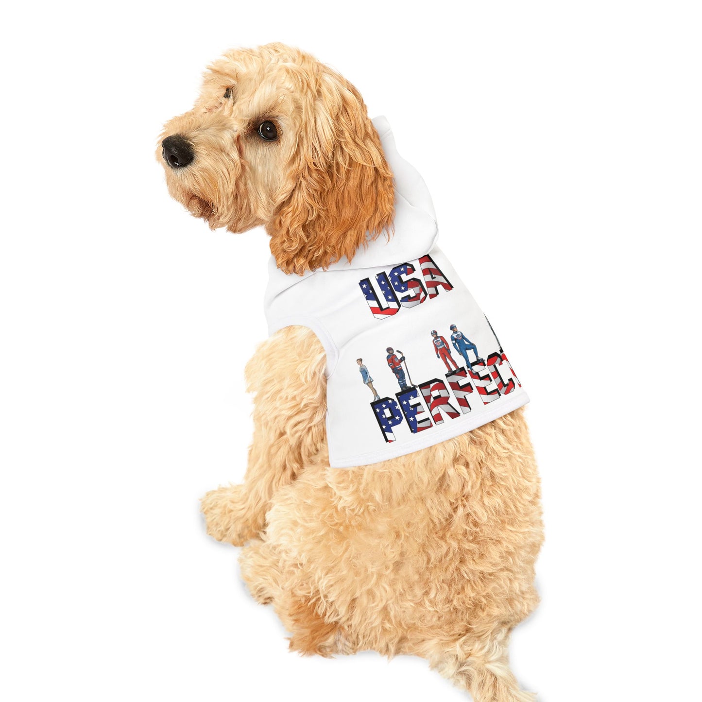 Princess Grace  TEAM USA  Pet Hoodie