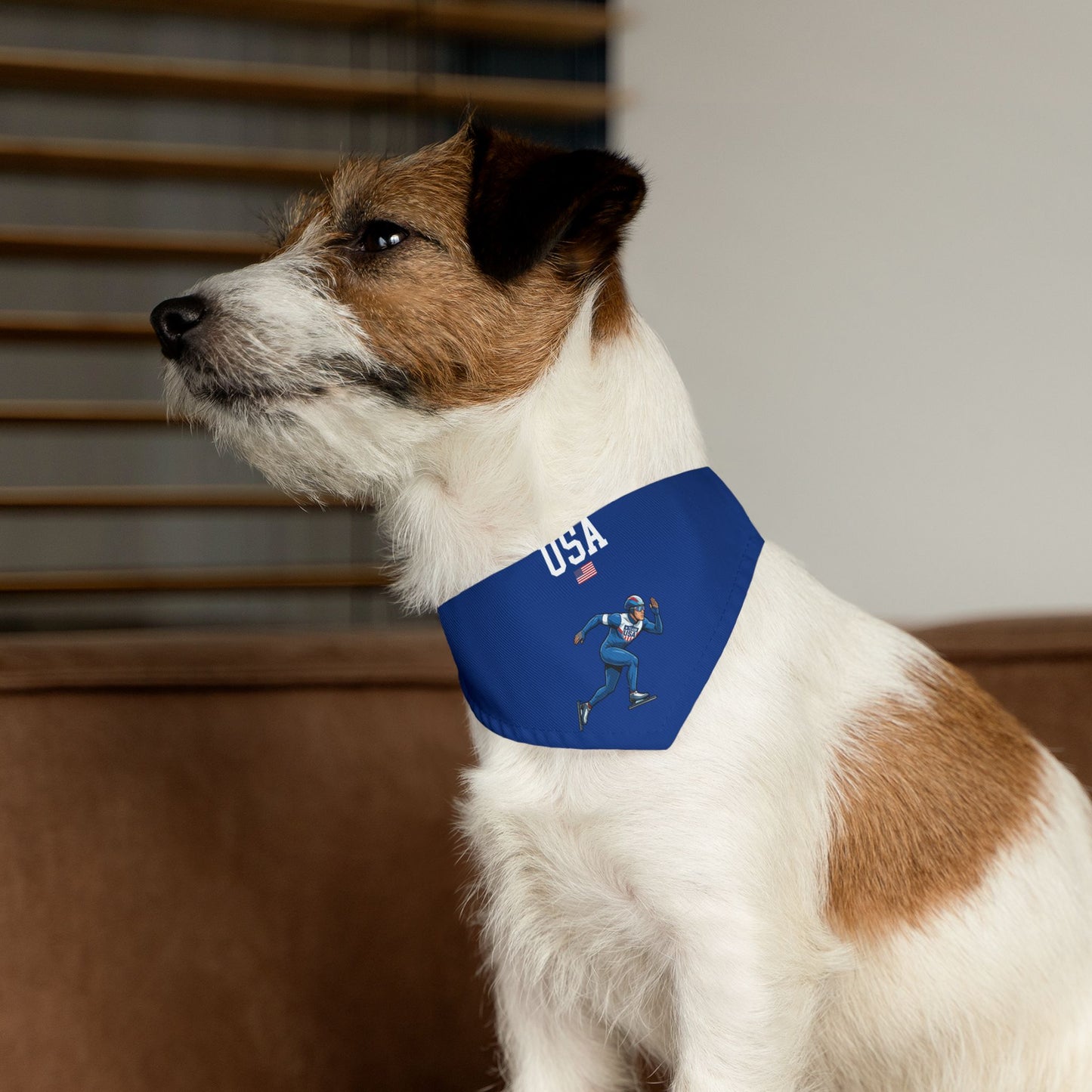 Princess Grace  TEAM USA  Pet Bandana Collar