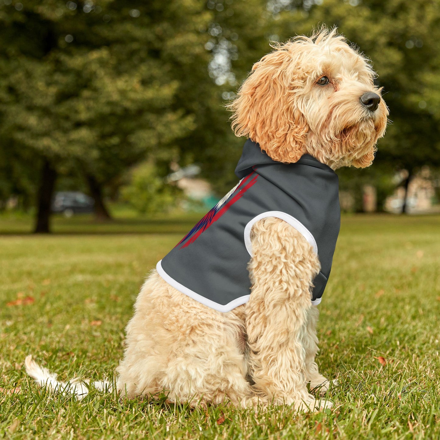 Princess Grace  Patriotic Eagle Pet Hoodie  Perfect for Holidays and Outdoor Adventures