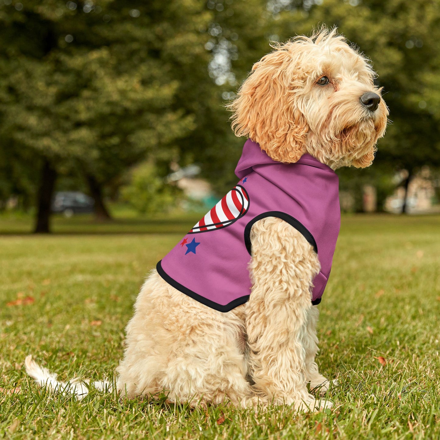Princess Grace  Stylish Pink Pet Hoodie with Patriotic Heart Design