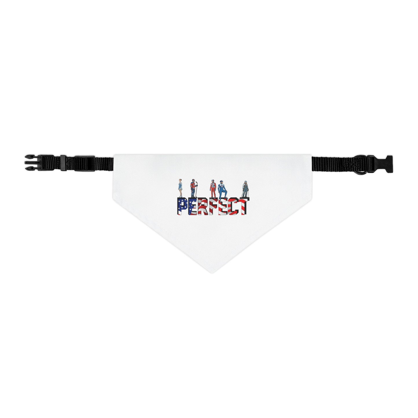 Princess Grace  TEAM USA  Pet Bandana Collar