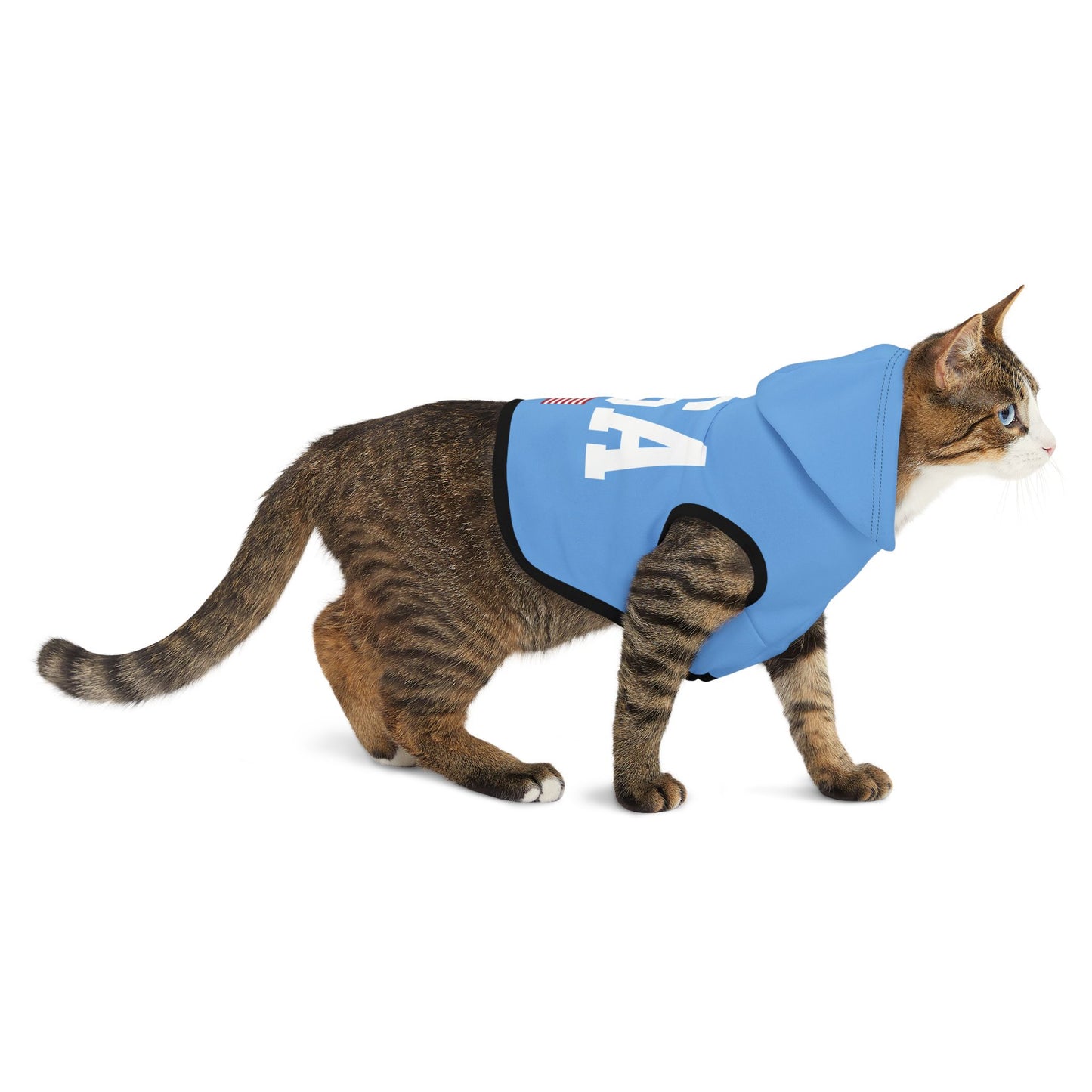 Princess Grace  TEAM USA  Pet Hoodie